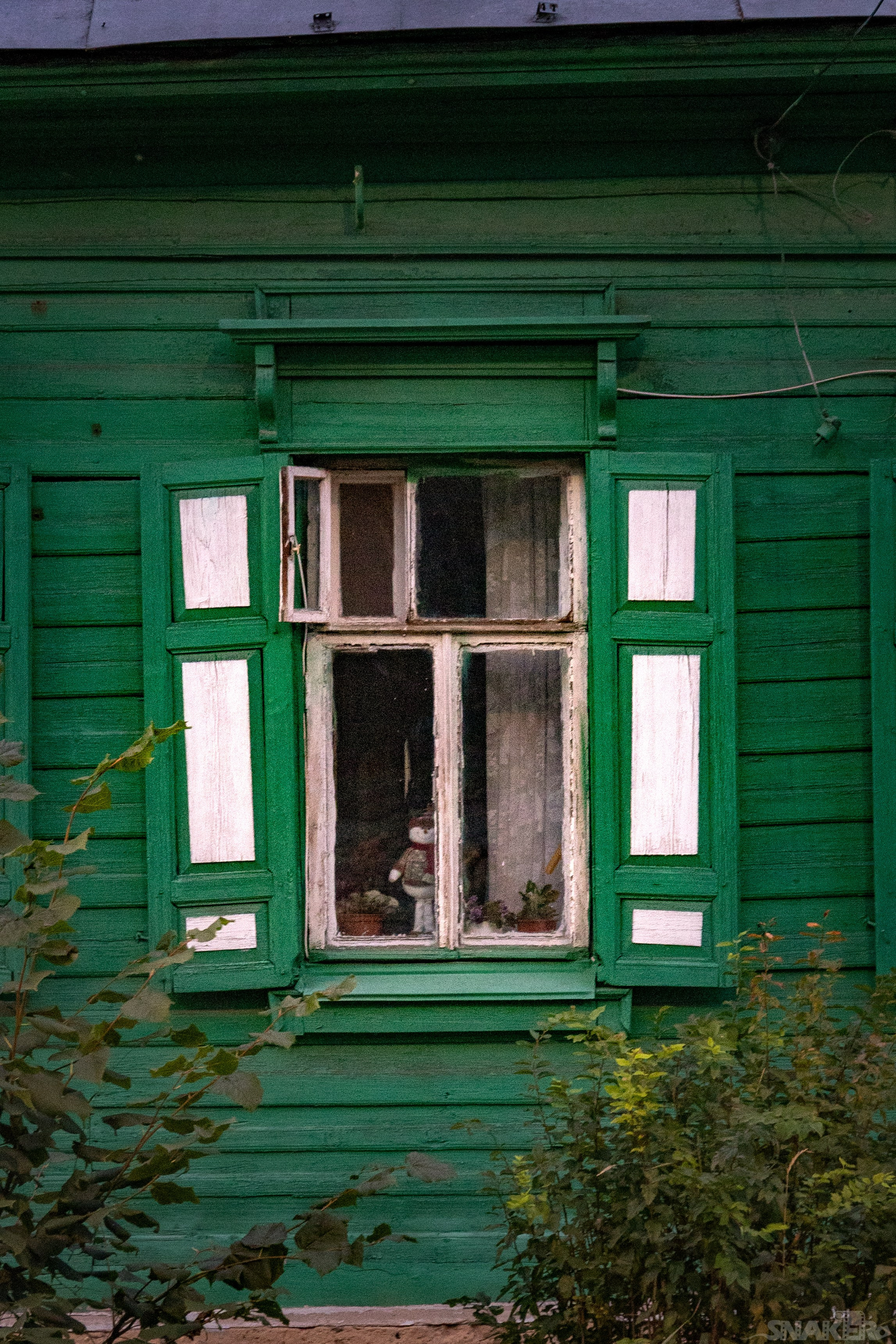 Кострома. Константин SNAKER