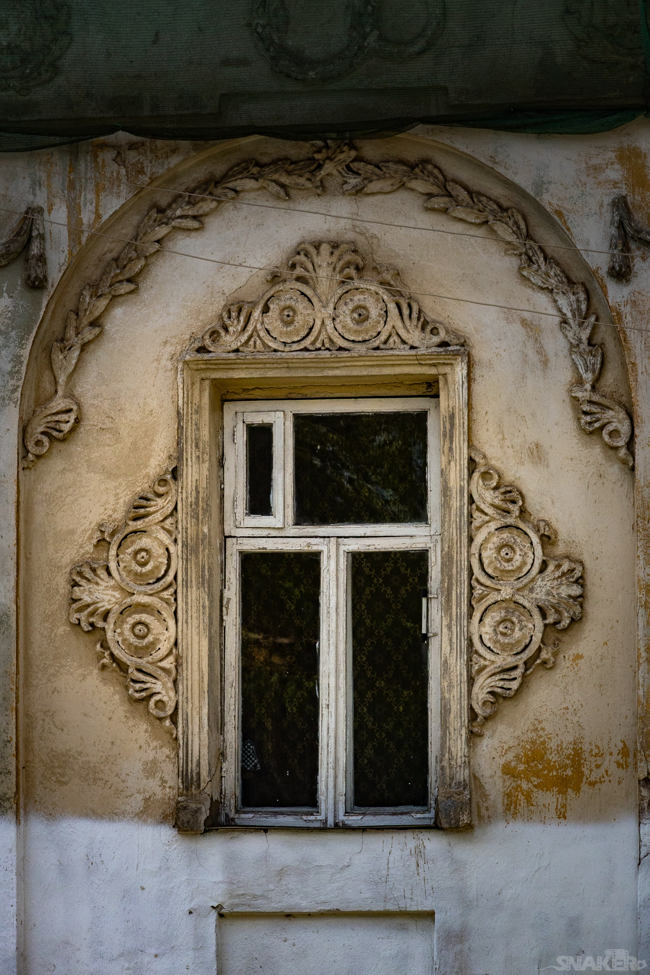 Кострома. Константин SNAKER