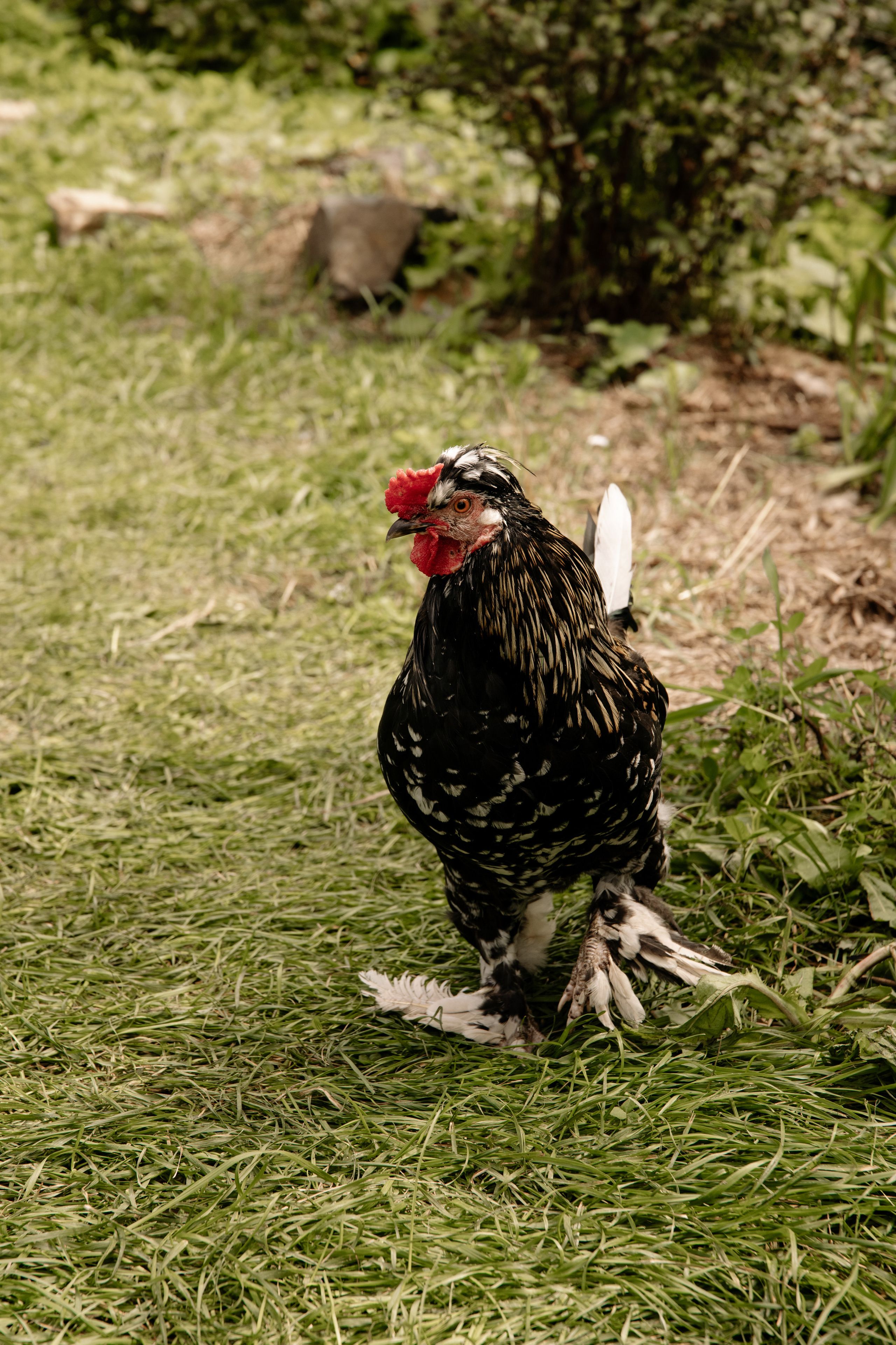 13.08.22. Свадебный Фотограф Уссурийск — Владивосток Мария Булавина