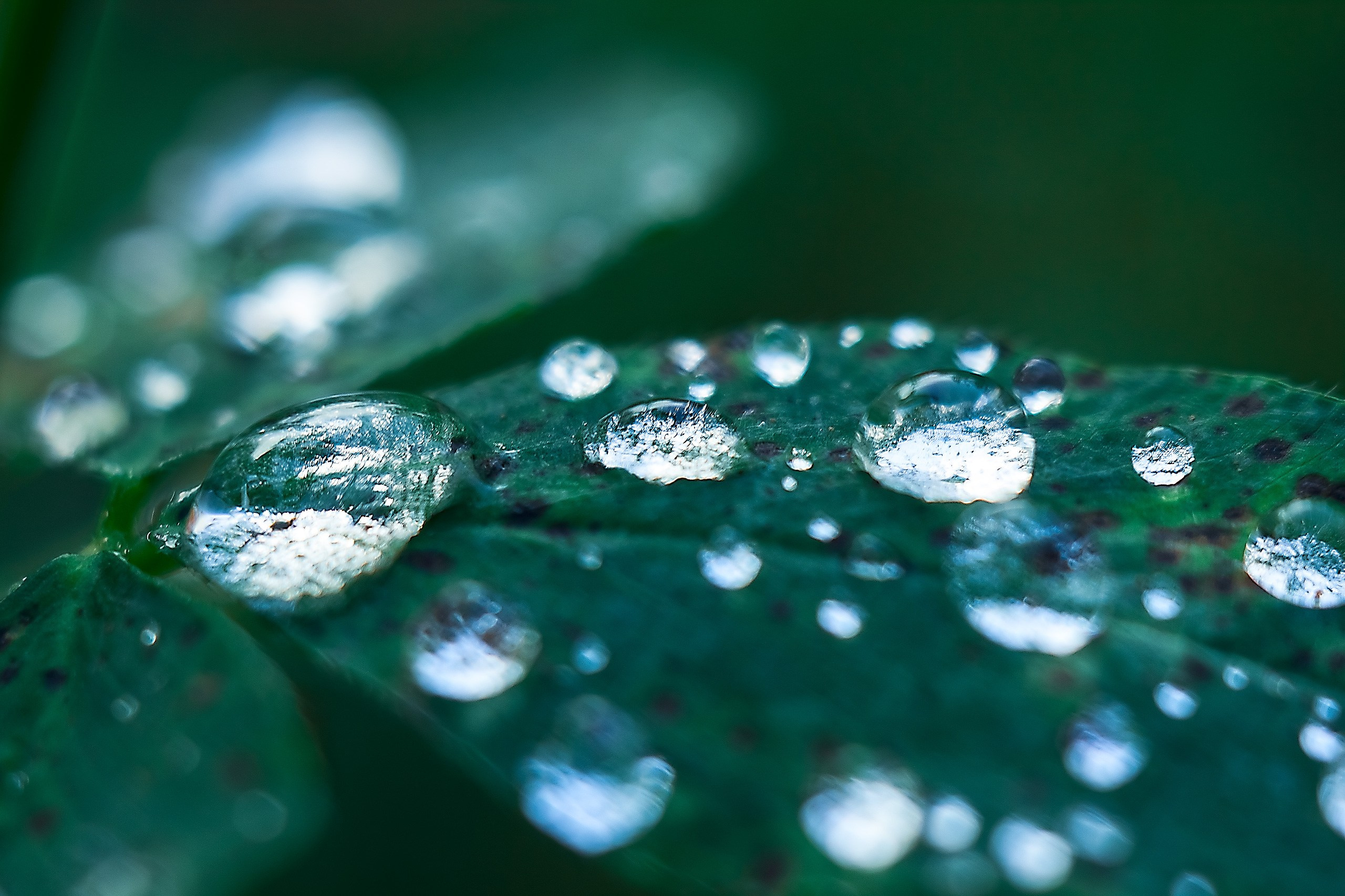 Мимолетность мгновений. Аmat Victoria Сuram