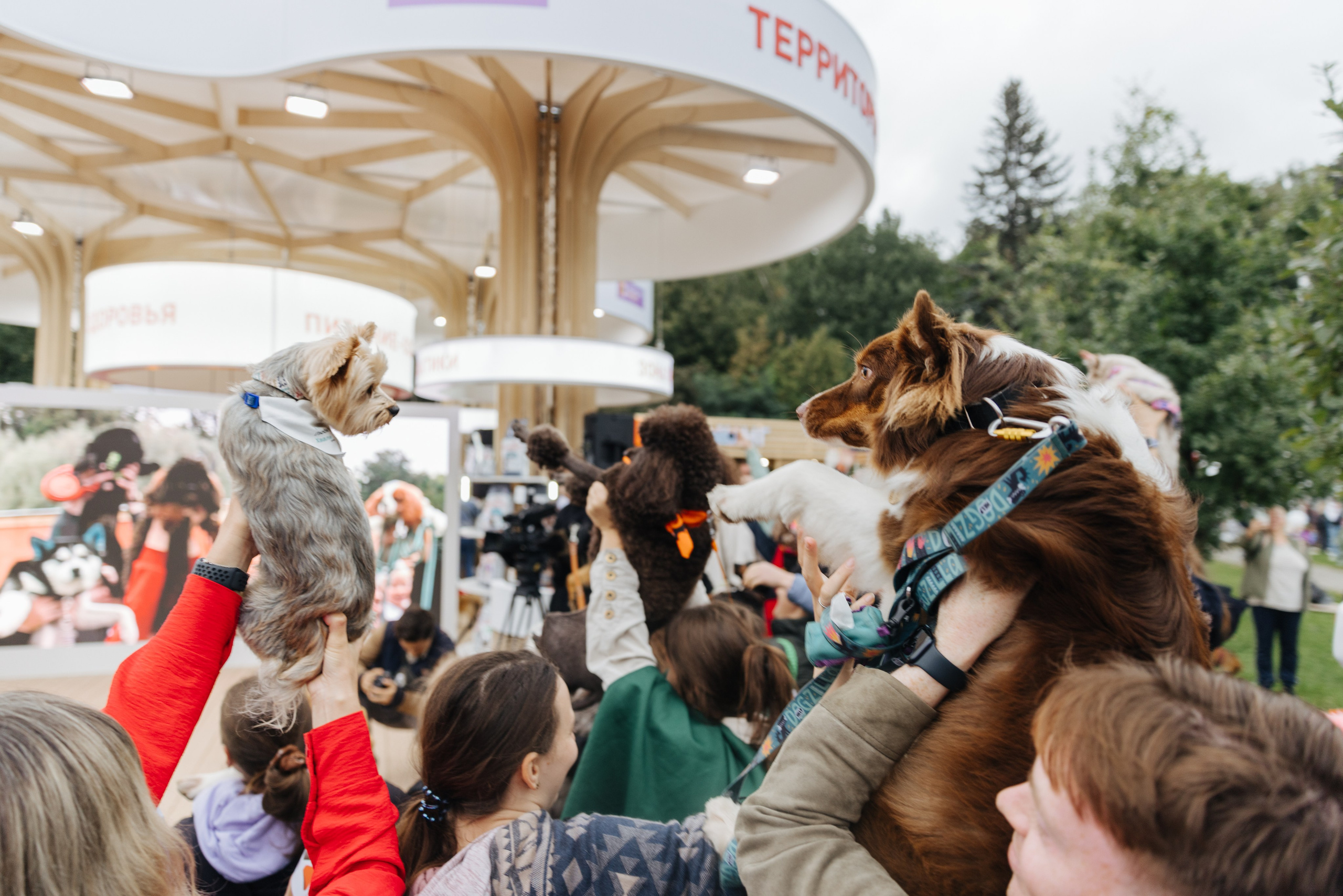 Хвостатый репортаж. Аксана Лисовская фотограф в Москве. Фотографии с характером