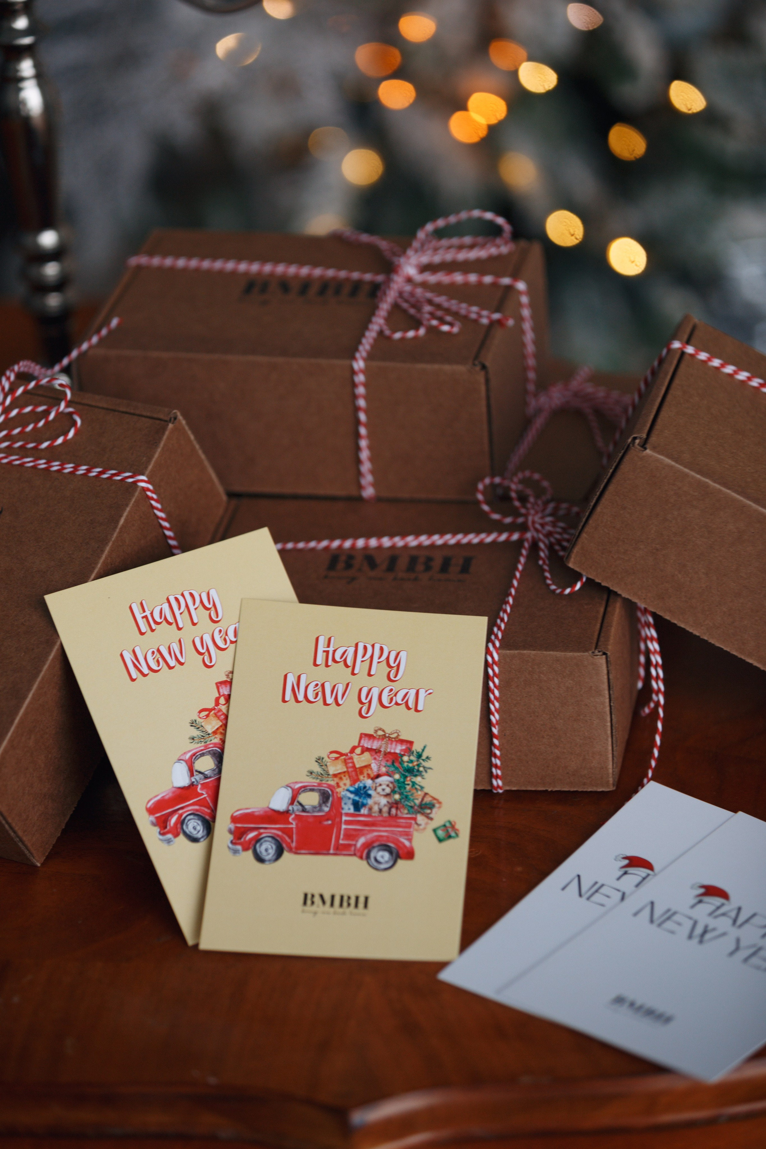 Bmbh лежанки и адресники. Фотограф анималист Кристина Карпова, Москва