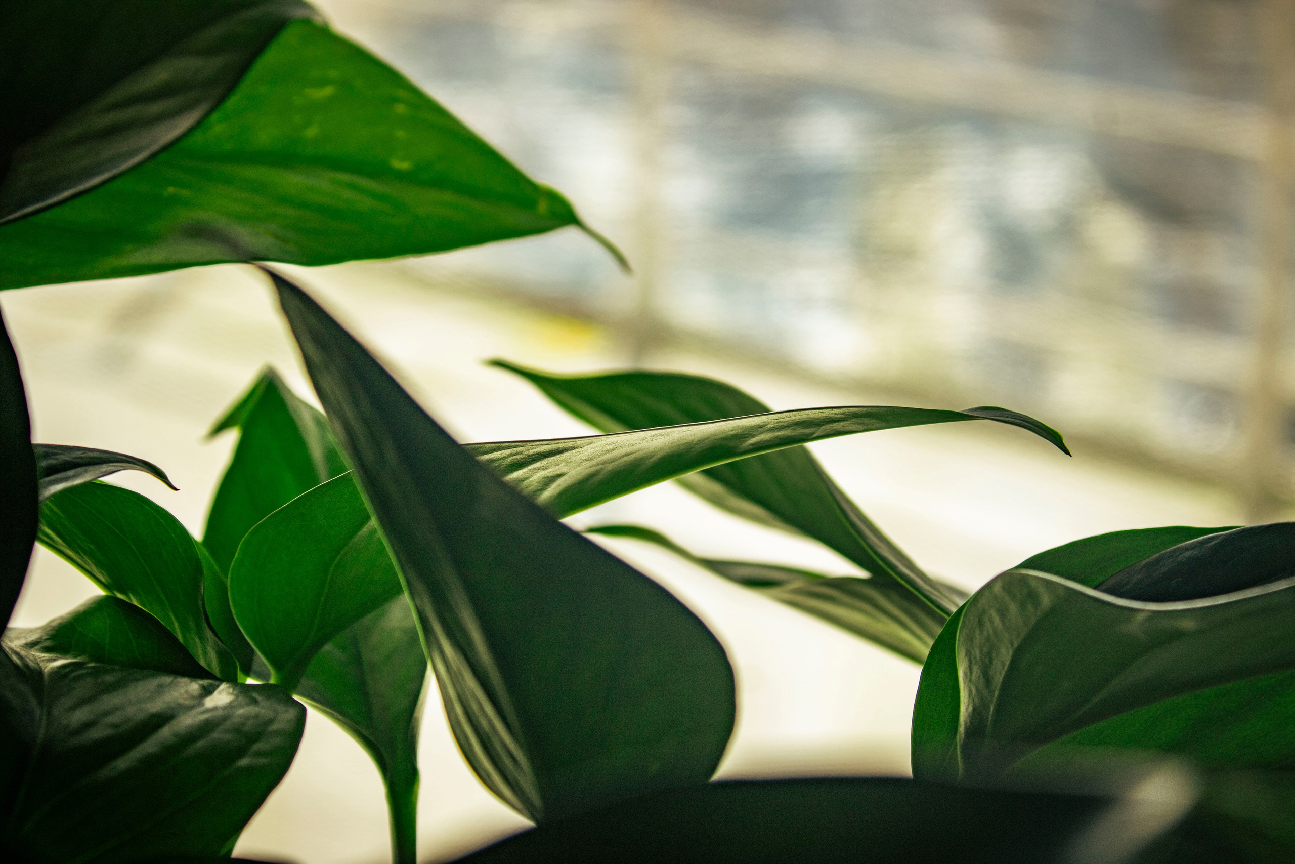 Когда я в море. Часть 1. Фотограф г. Владивосток