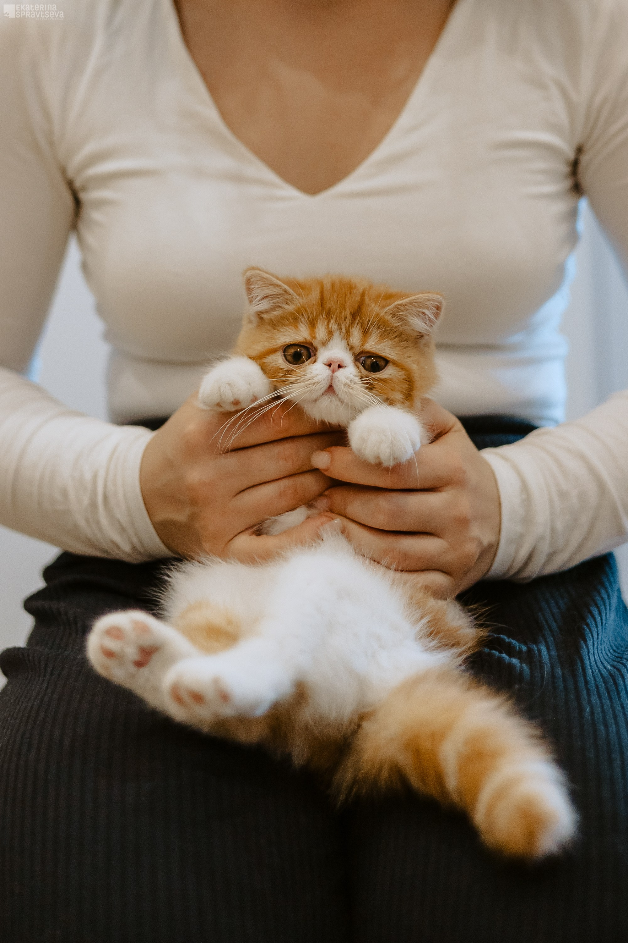 Малыш Уникум, Лиза и Миша. Фотограф Анималист Екатерина Справцева в Нижнем Новгороде