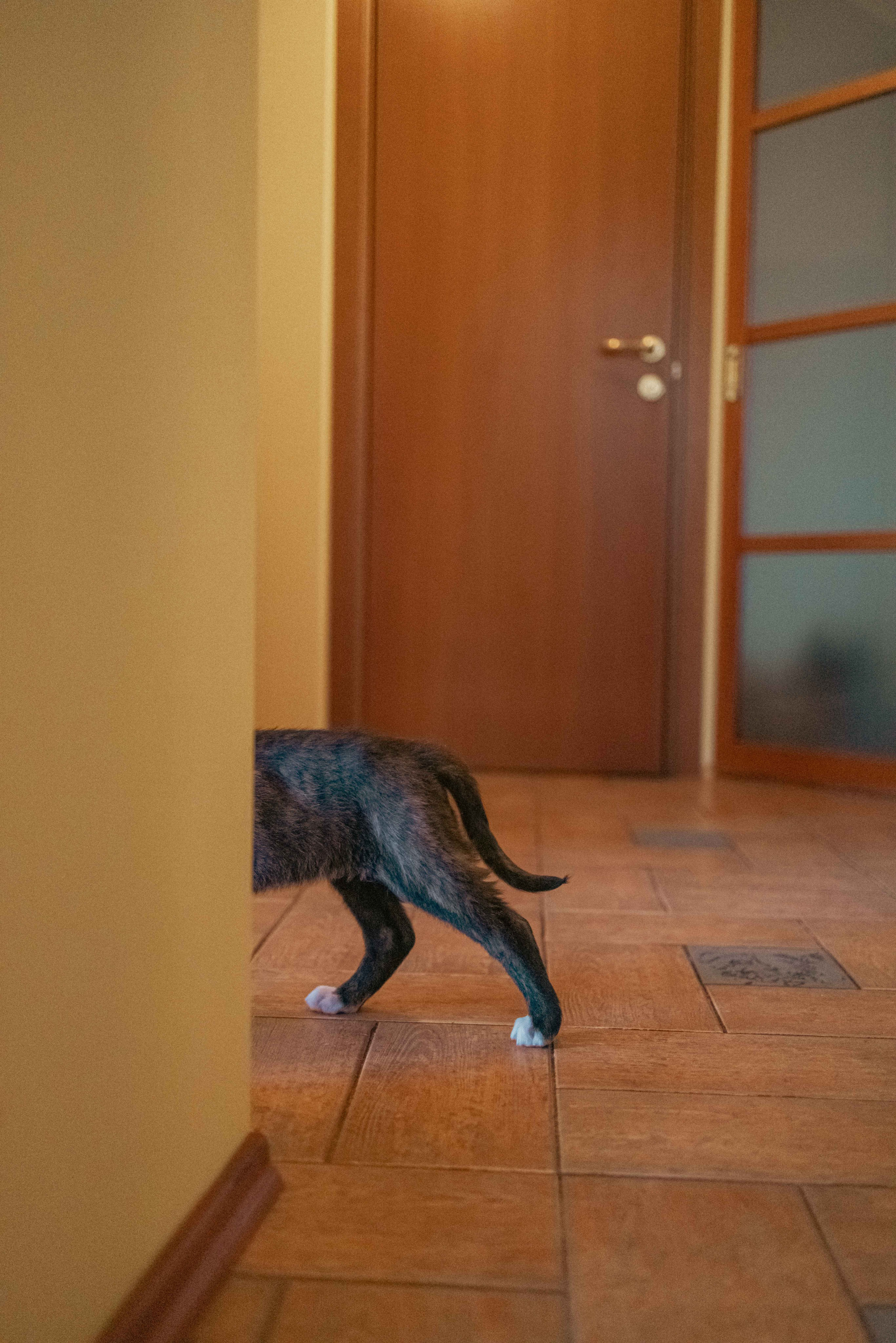 Гайка. Фотограф-анималист в Москве Лера Черноног