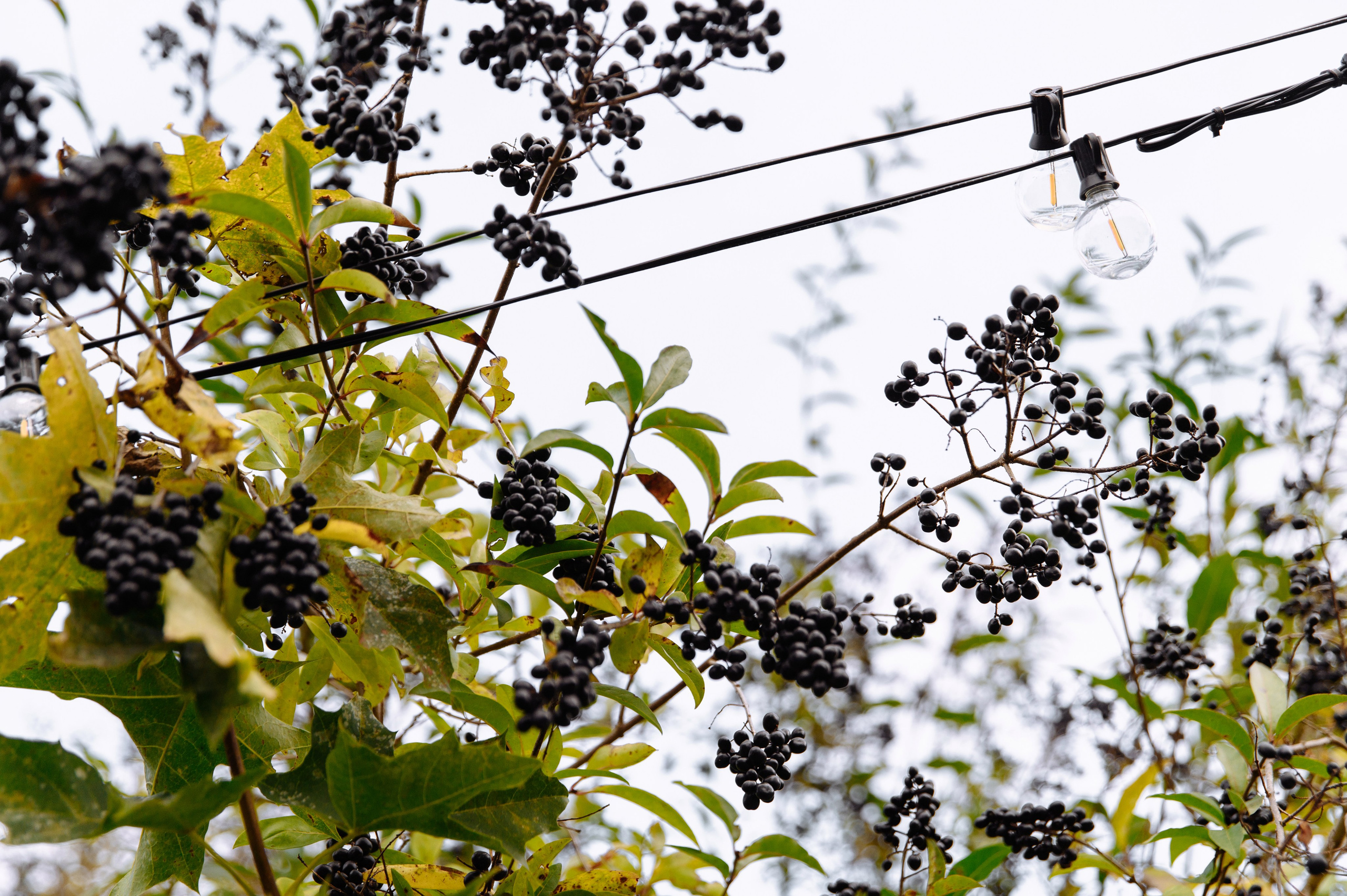 Евгений и Екатерина LA VILLA. Фотограф Кирилл Верт