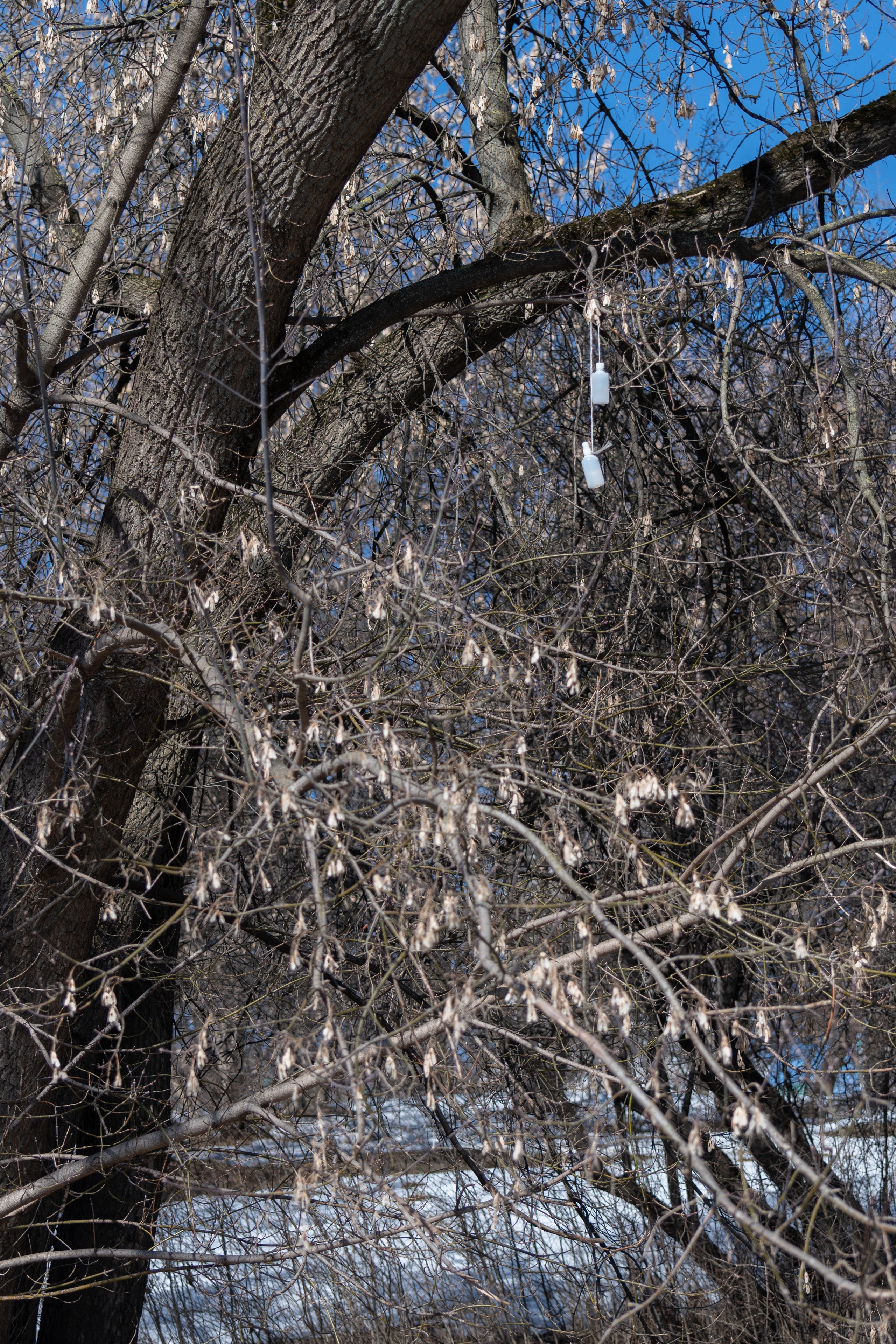 20220320 Коломенское. Дмитрий Ремизов. Фотография, как хобби