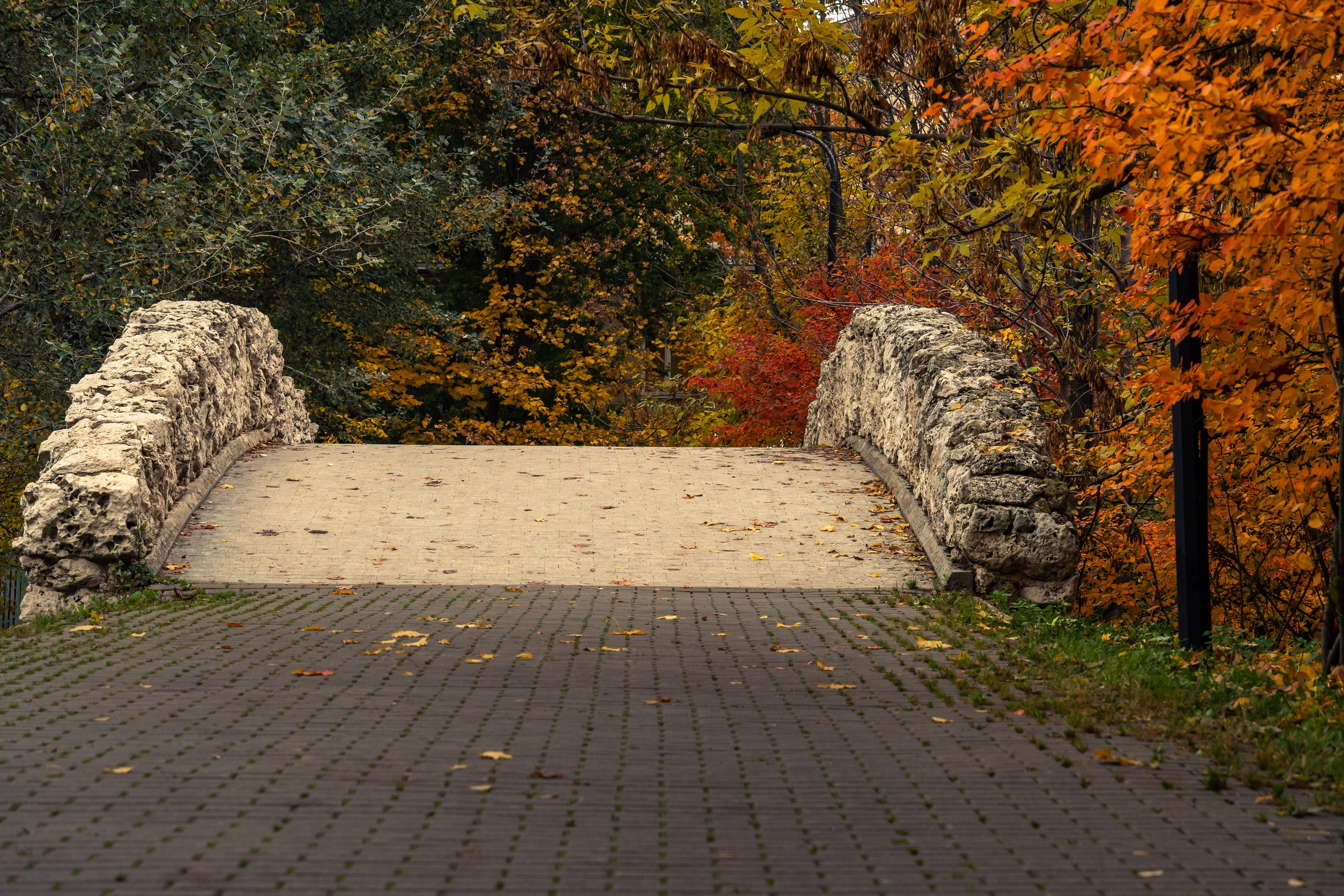 20251011 Нескучный сад. Дмитрий Ремизов. Фотография, как хобби