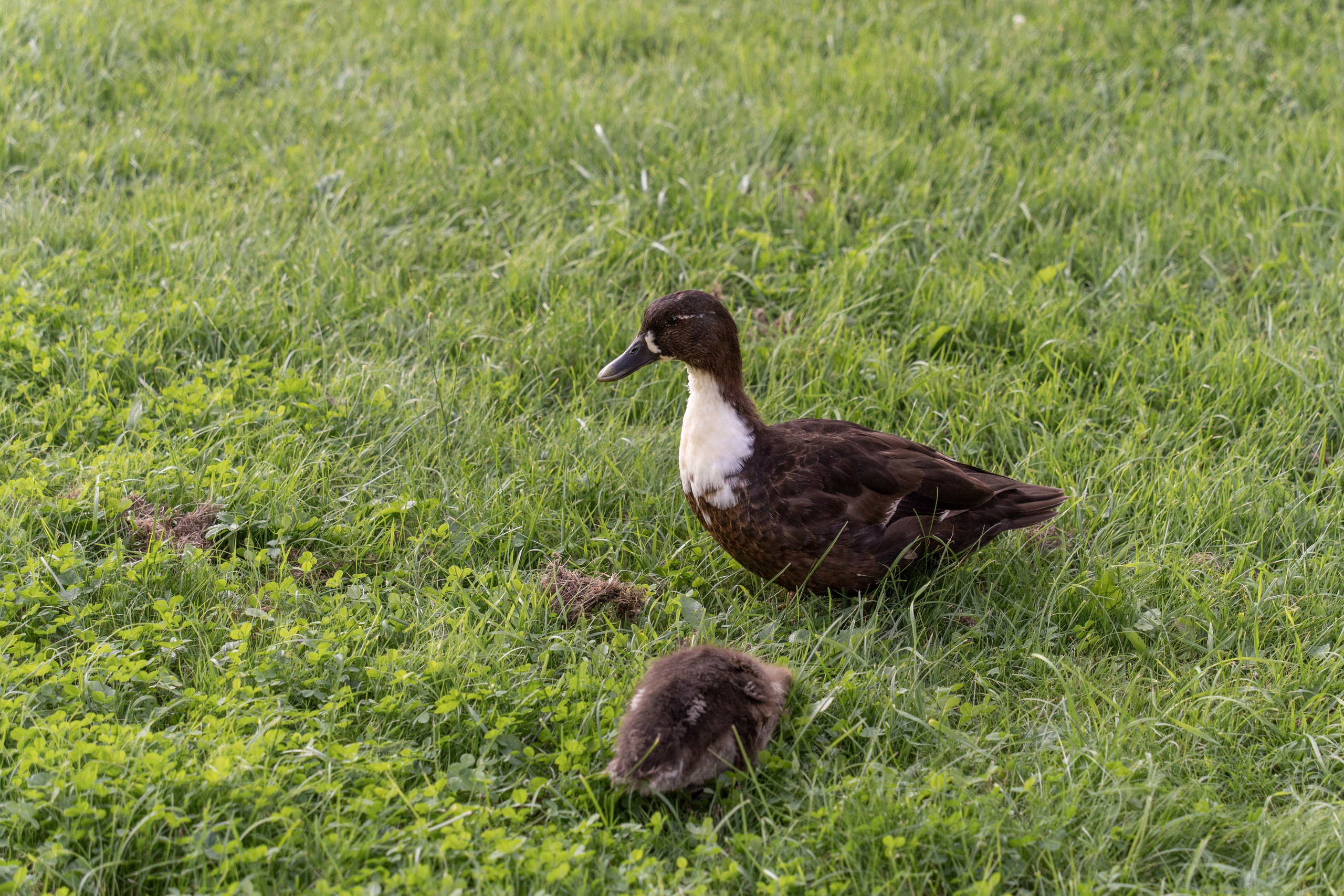 20250729-30 Ростов. Дмитрий Ремизов. Фотография, как хобби