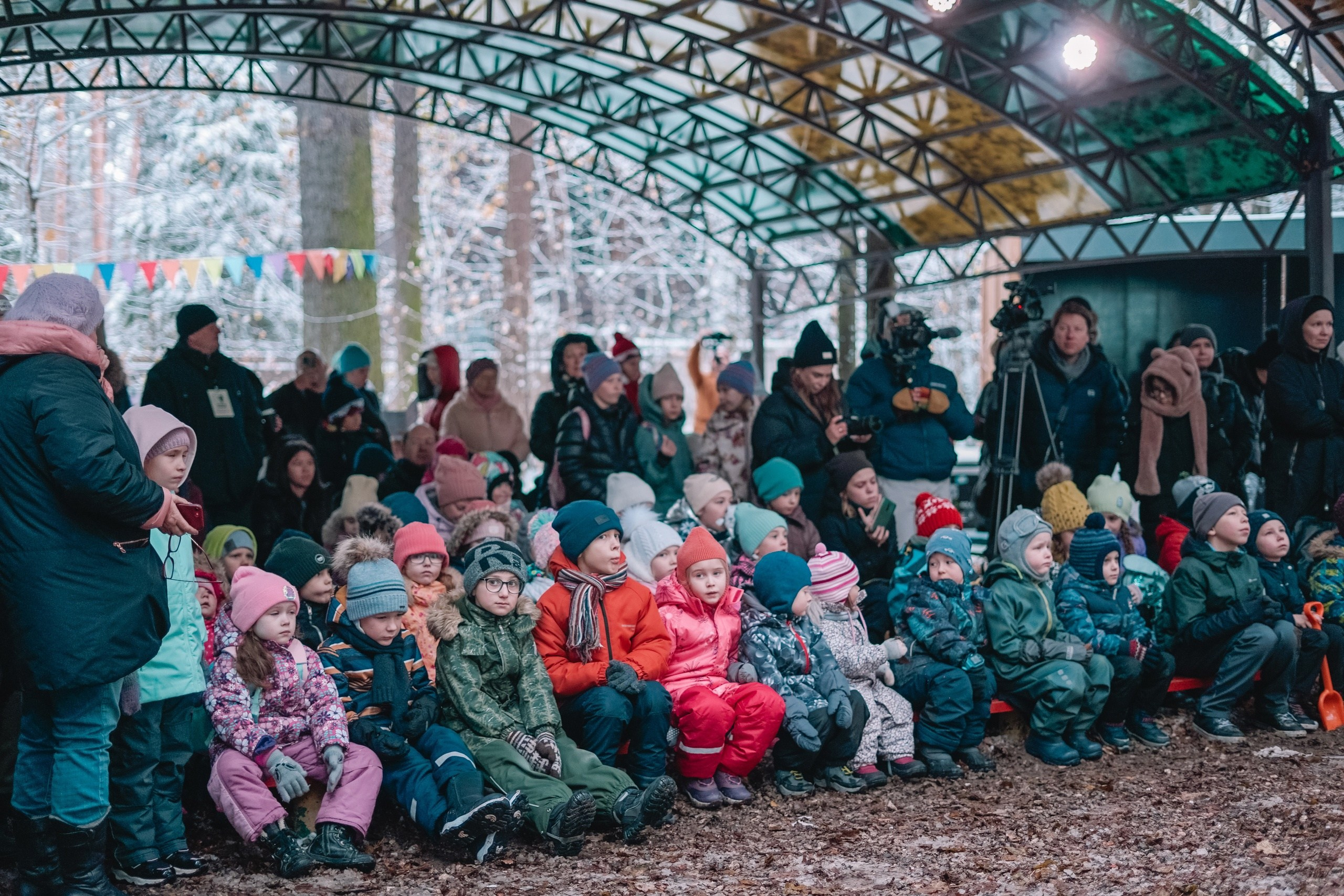 10 сосновых шишек. Kirillova Studio — мастерская декора и событий Юли Кирилловой