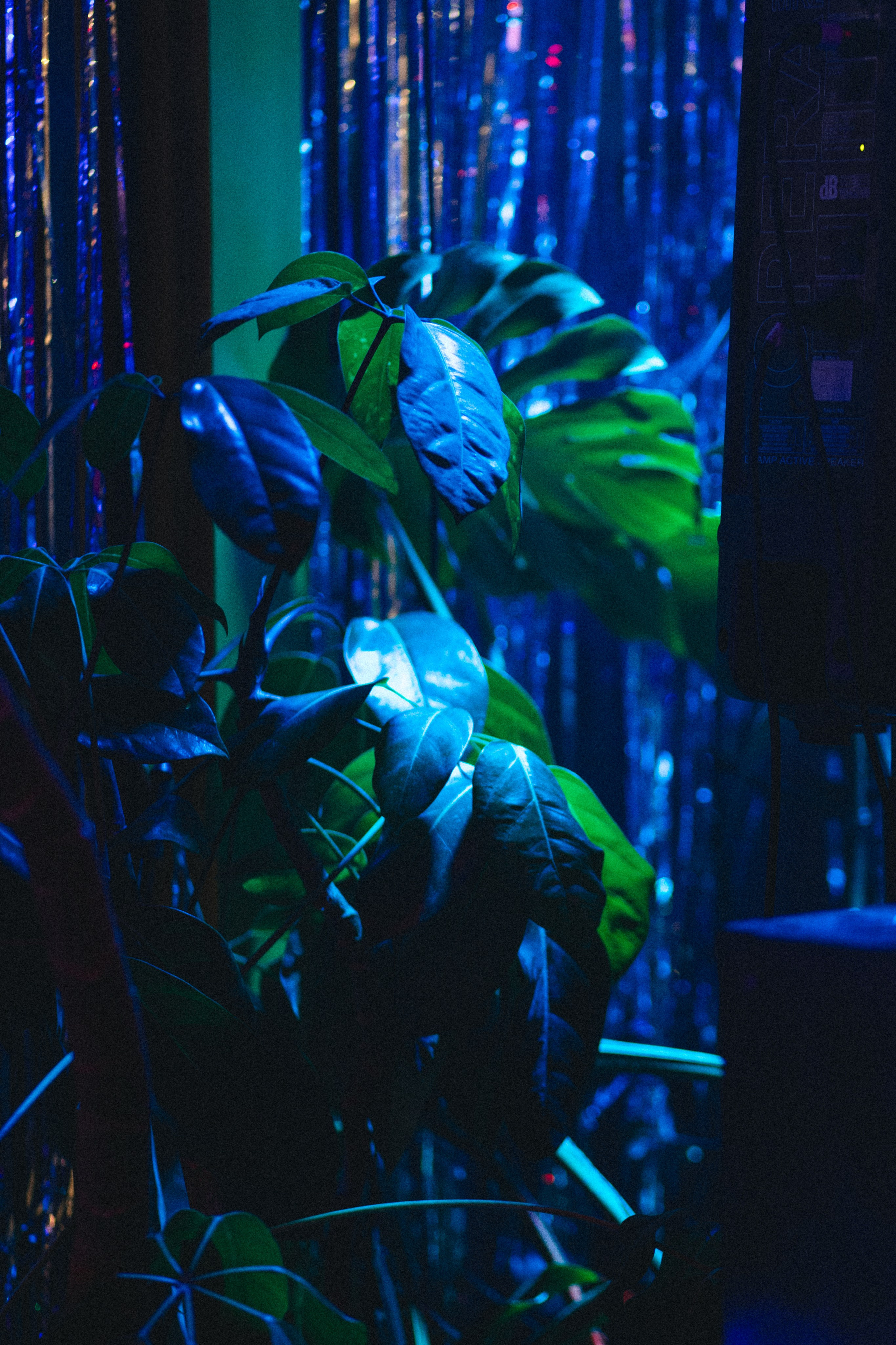 НОВОГОДНЯЯ ВЕЧЕРИНКА 90-х | Парк Культуры. Фотограф в Ставрополе Алина Клочкова