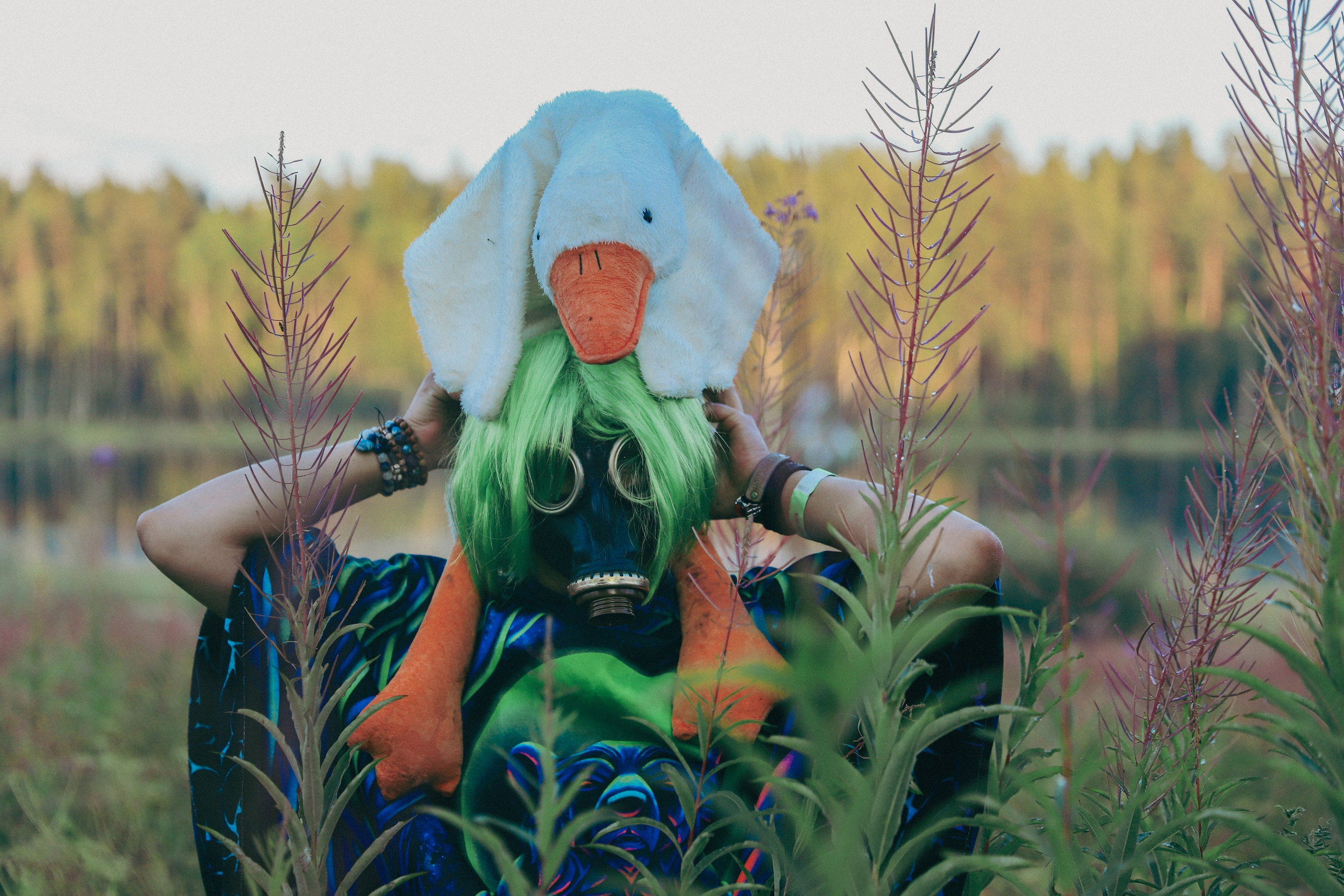 Фестиваль Жива