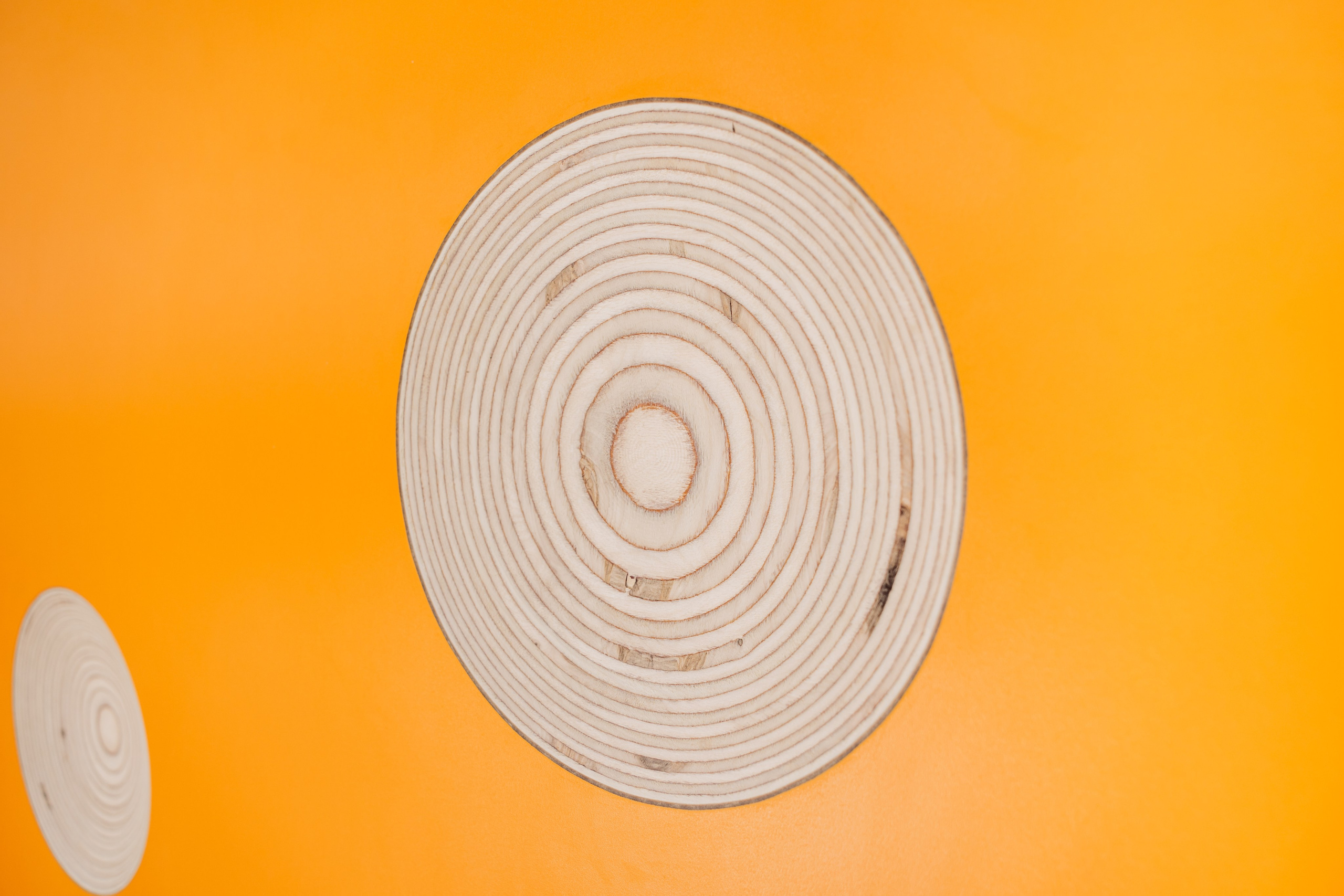 ЧЕБ И РЕК | РИО. ФОТОГРАФ ИРИНА ШАМАТАВА