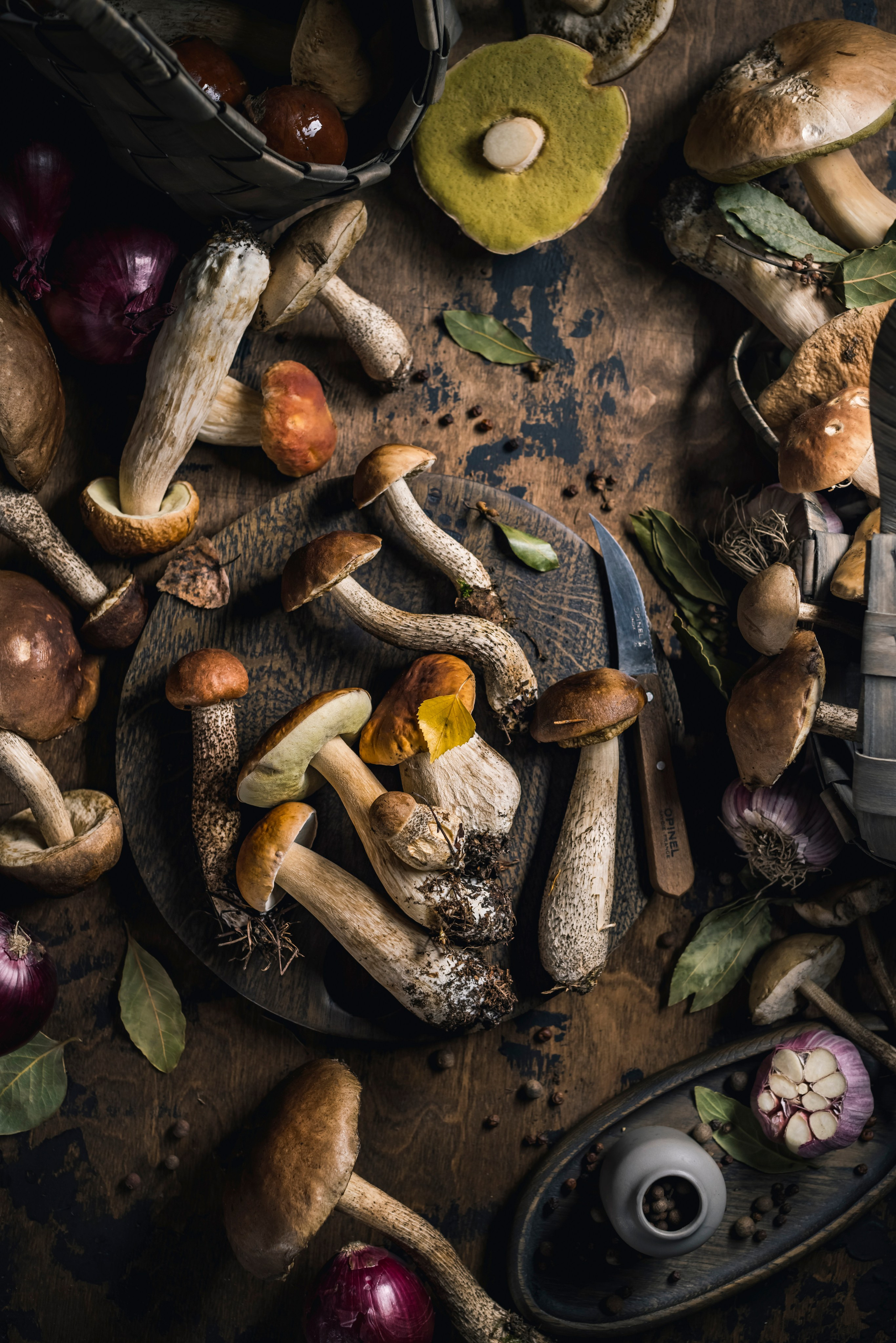 Mushrooms stories. Foodie Stories (гастрономические истории) рекламная фуд-фотосъёмка, Москва