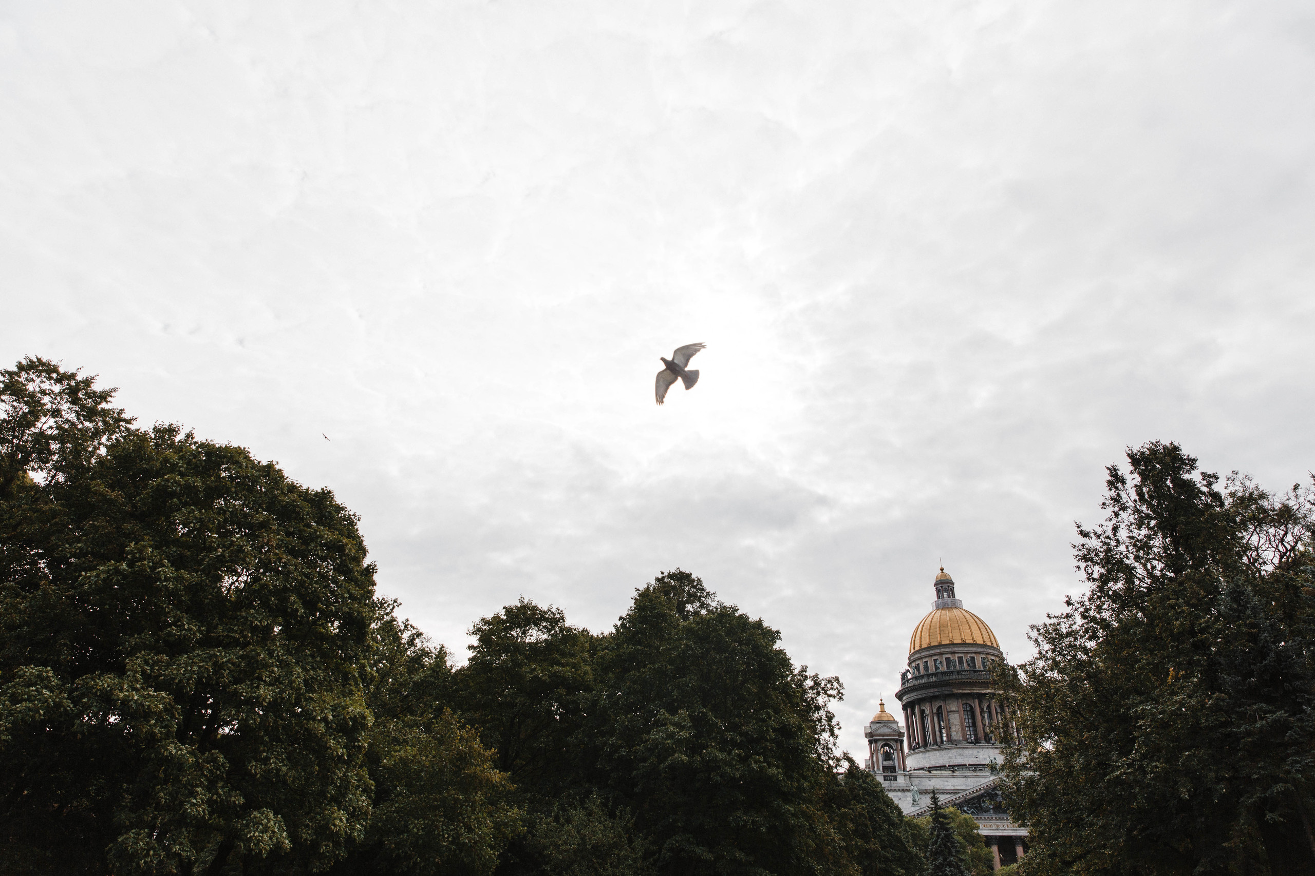 Лена и Саша. Свадьба. Семейный и свадебный фотограф Полина Принцева