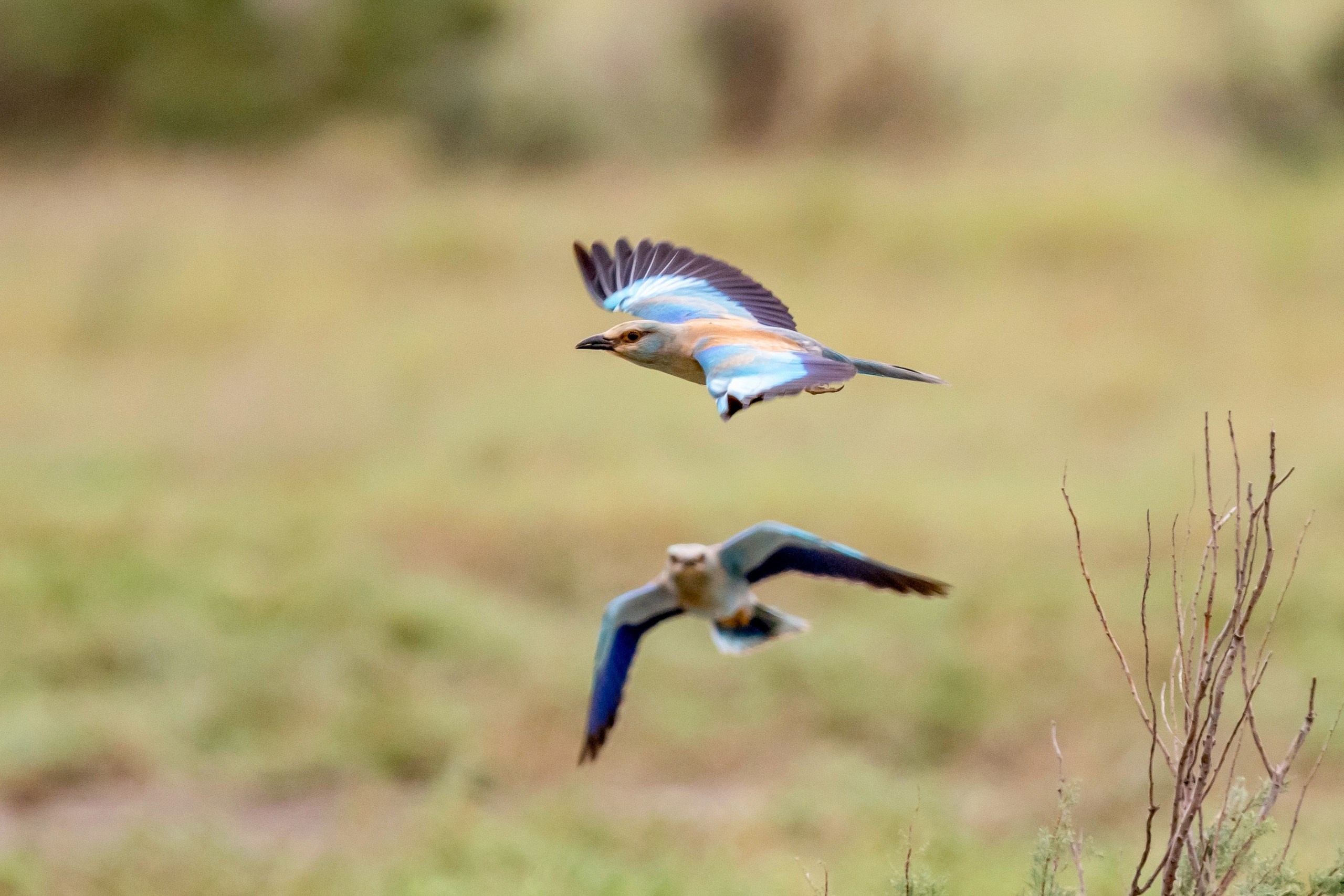 Природа Дагестана, сентябрь 2024. Foto-Zuev фотография как искусство