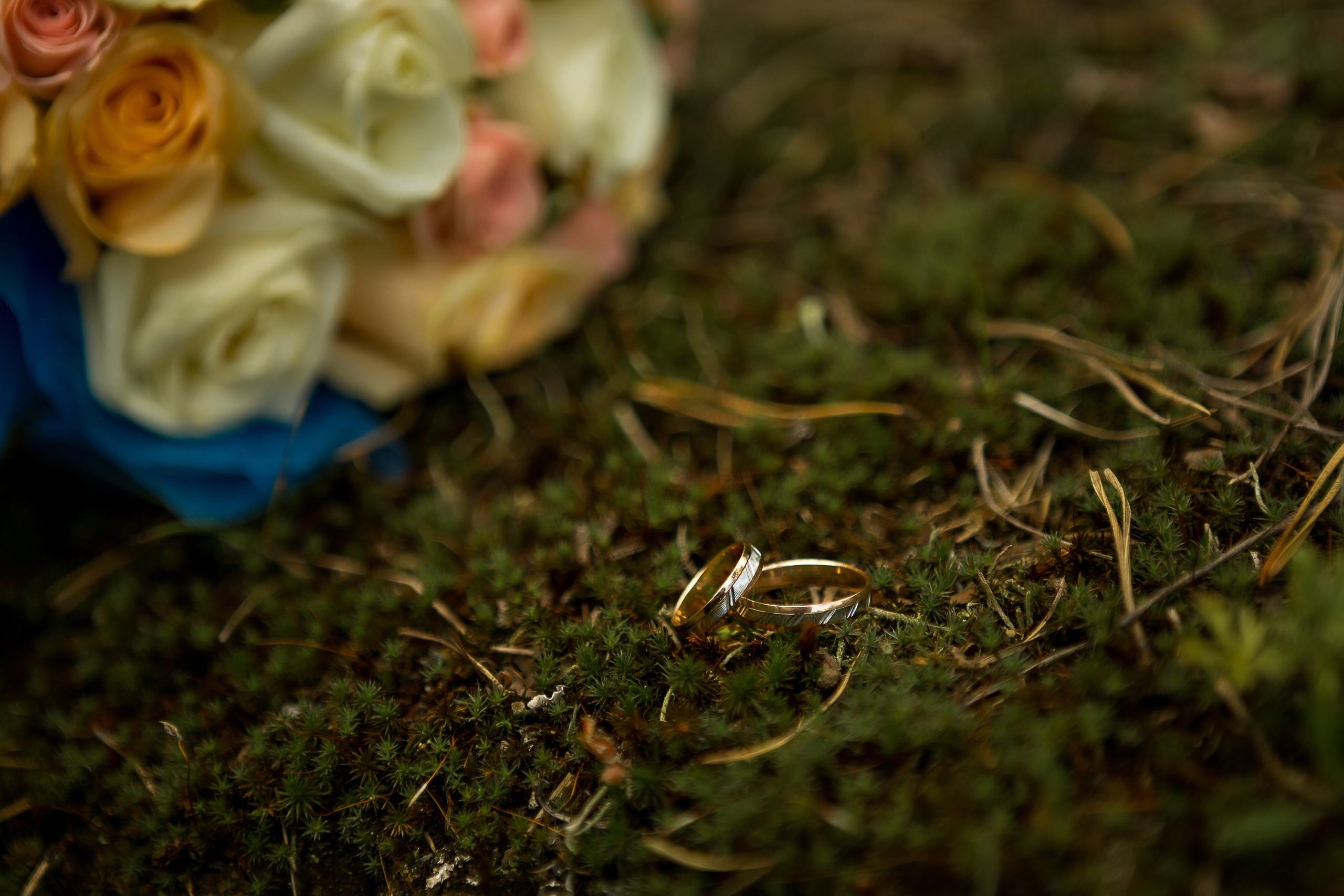 Свадебная фотосъёмка. Свадебный и семейный фотограф в Ярославле Эвелина Староверова