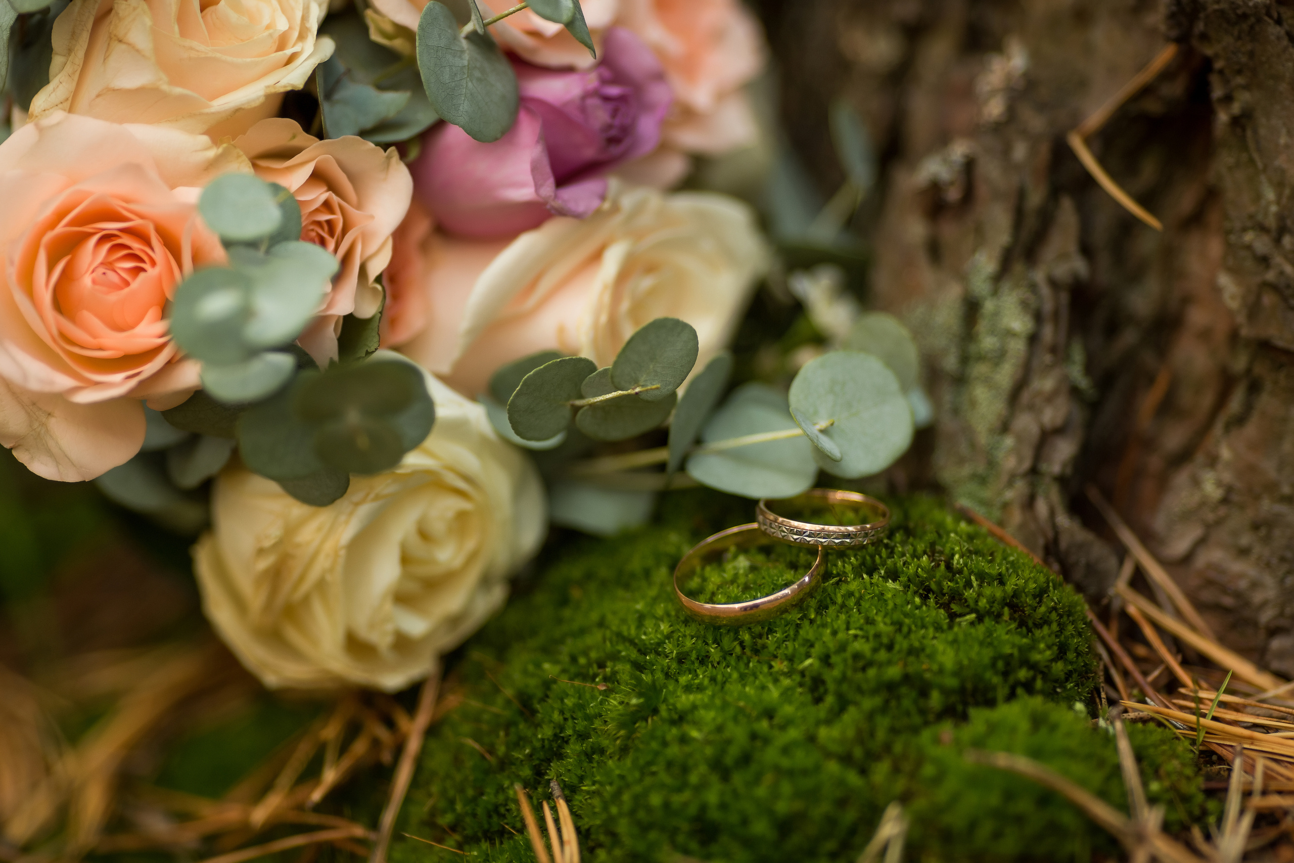 Свадебная фотосъёмка. Свадебный и семейный фотограф в Ярославле Эвелина Староверова