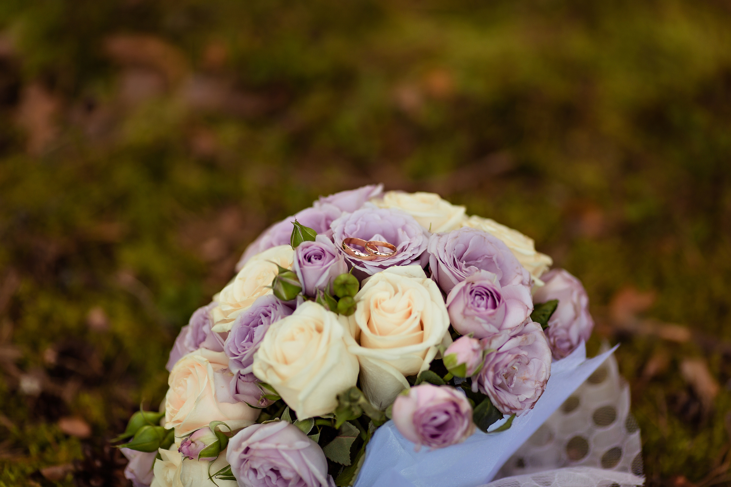 Свадебная фотосъёмка. Свадебный и семейный фотограф в Ярославле Эвелина Староверова