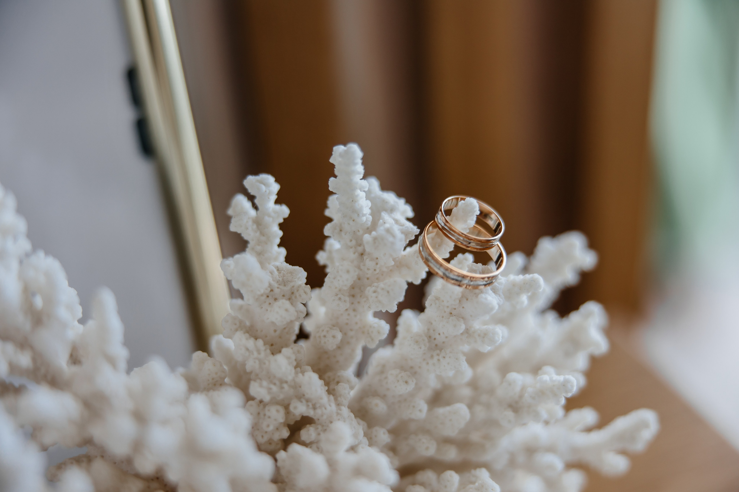 Анонс свадьбы Ксюши и Ивана. Свадебный фотограф в Крыму и Севастополе Ольга Баскакова