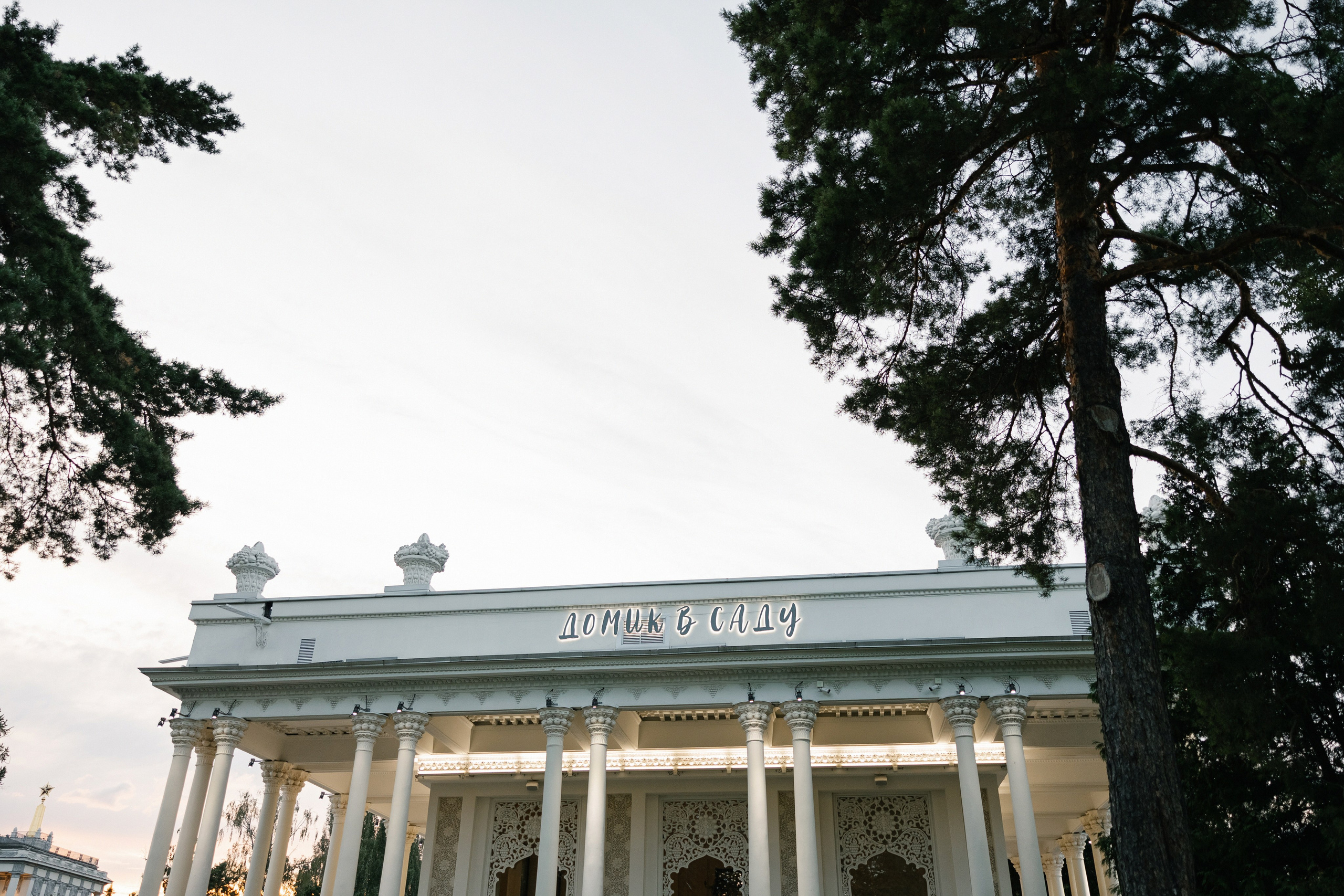 Наталья и Николай: Домик в саду. Свадебный фотограф Москва