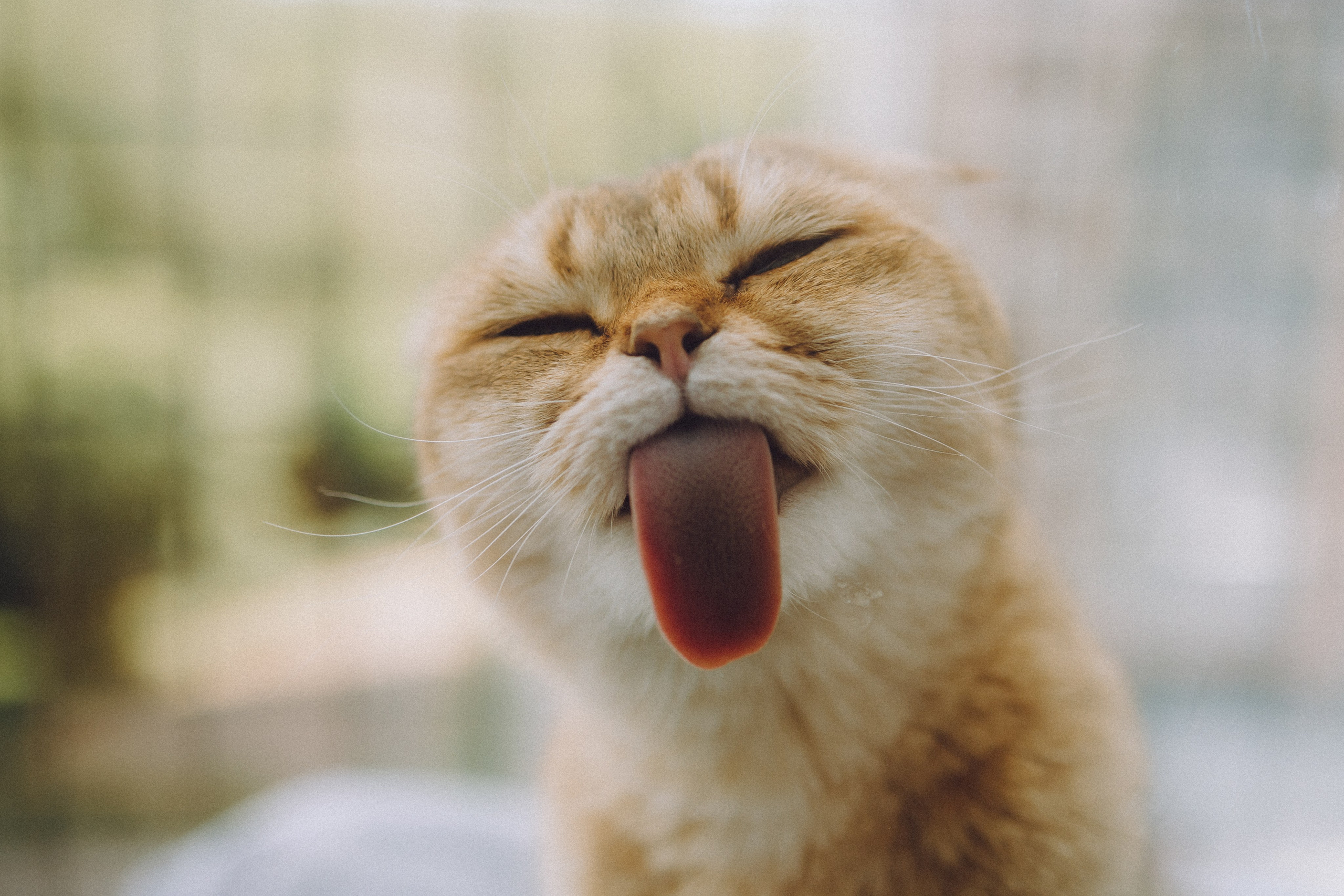 Генри и его семья