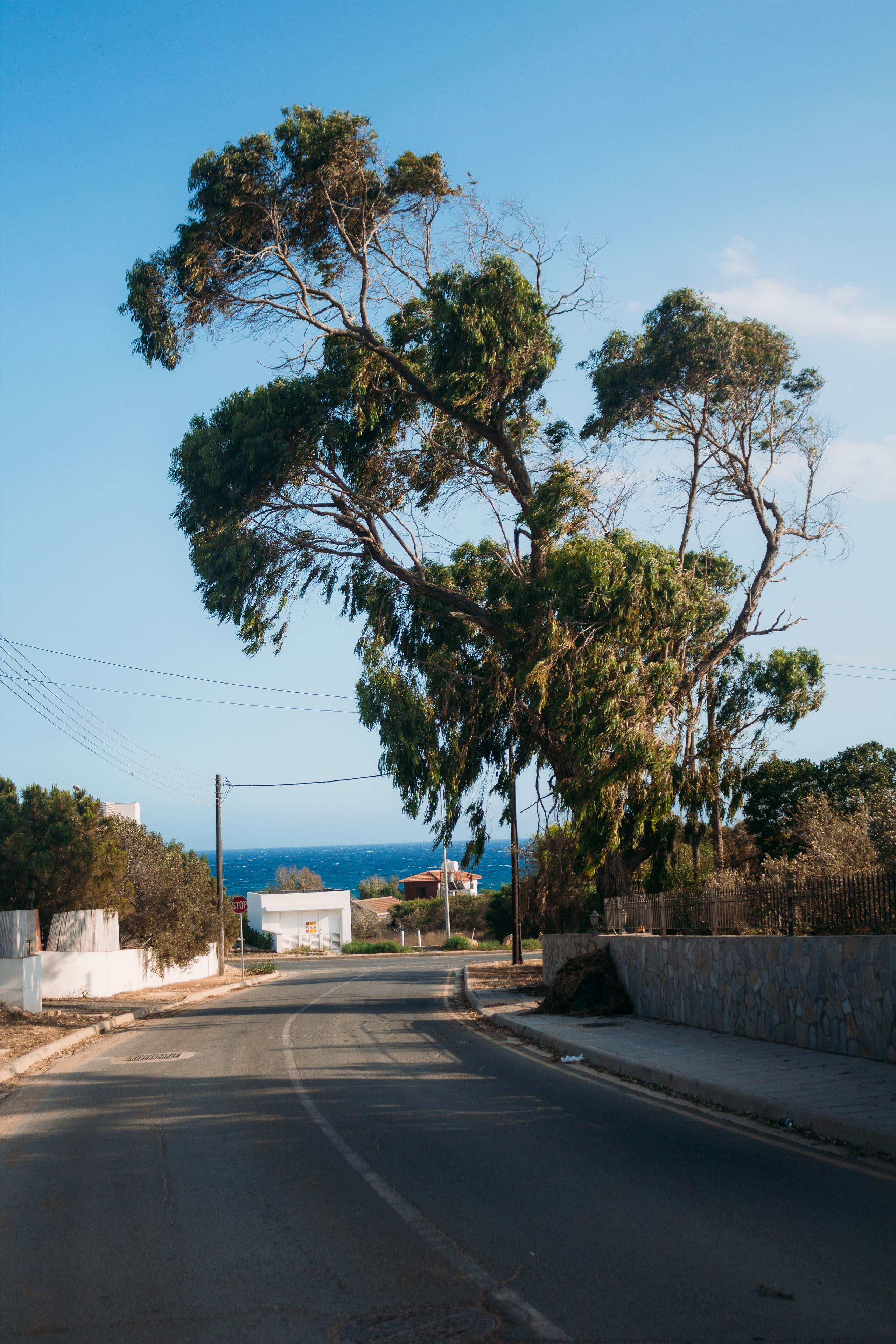 Кипр. Свадебный фотограф Копков Геннадий