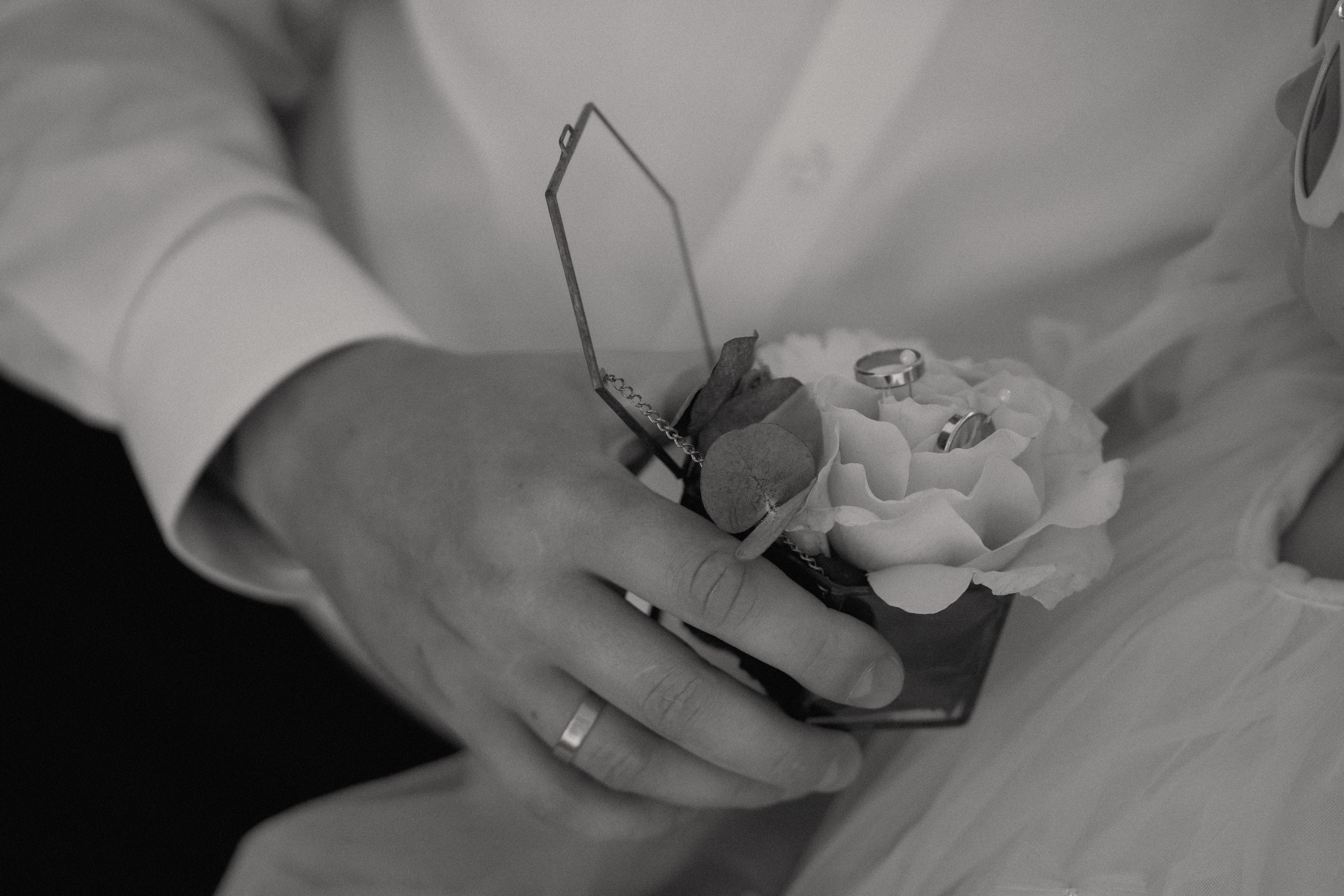 KN. Свадебный фотограф