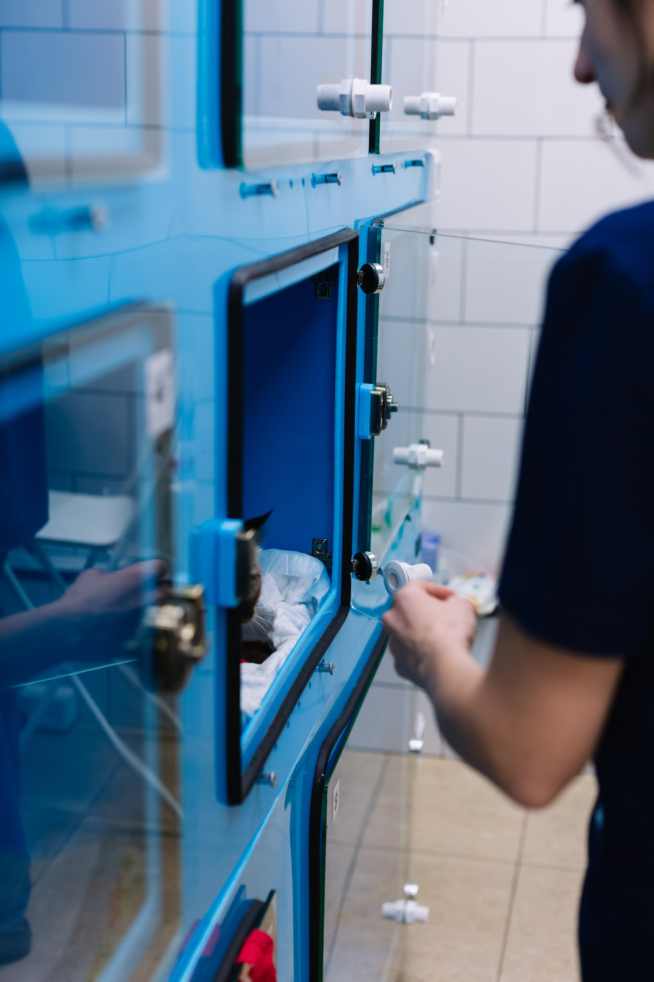 Контент съёмка. Семейный и детский фотограф в Новосибирске Алёна Малахова