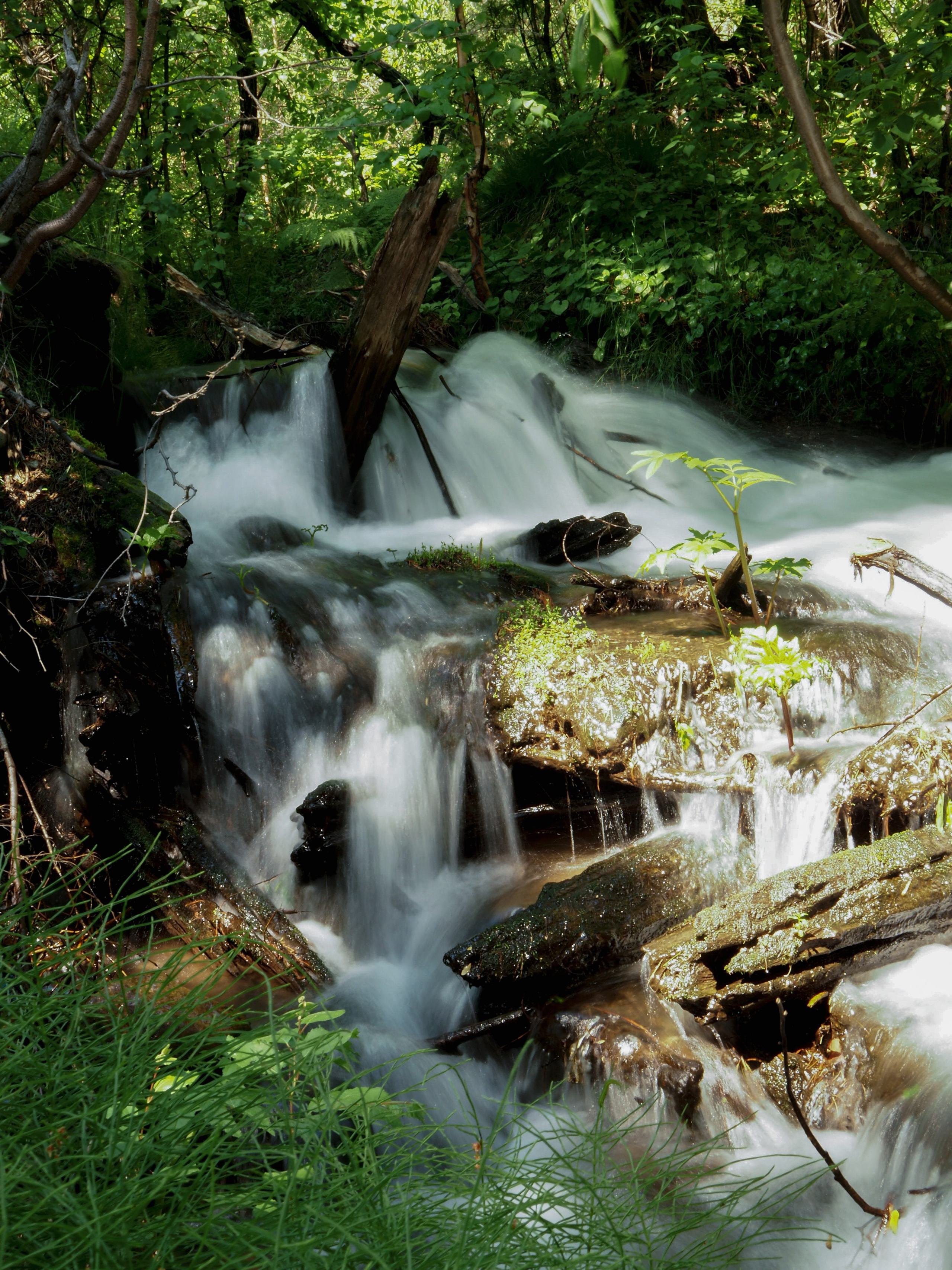 ПЕЙЗАЖИ. Фотограф Чита | Иркутск | Новосибирск