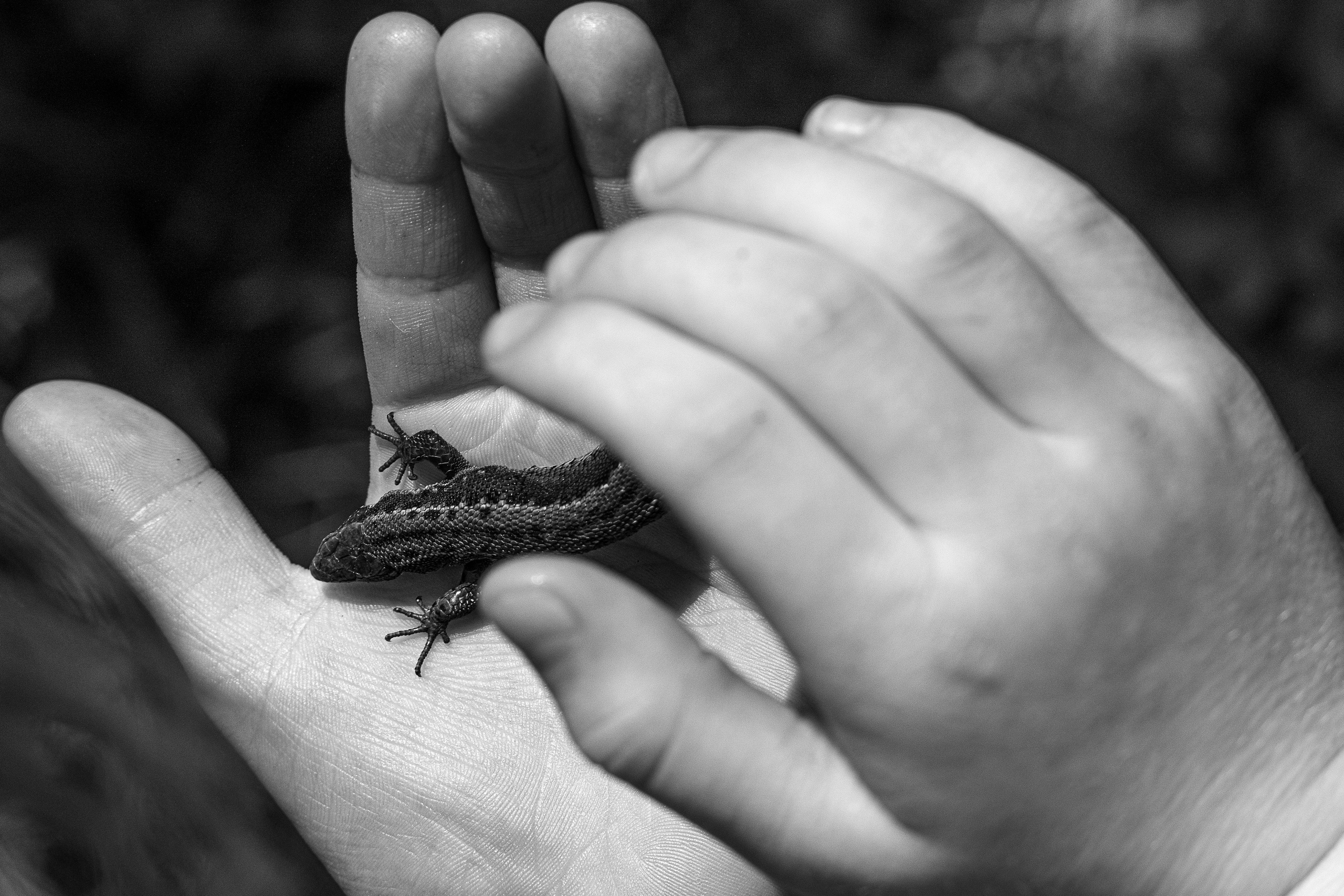 Ч.б. фотографии. Фотографии Лены Соколовой