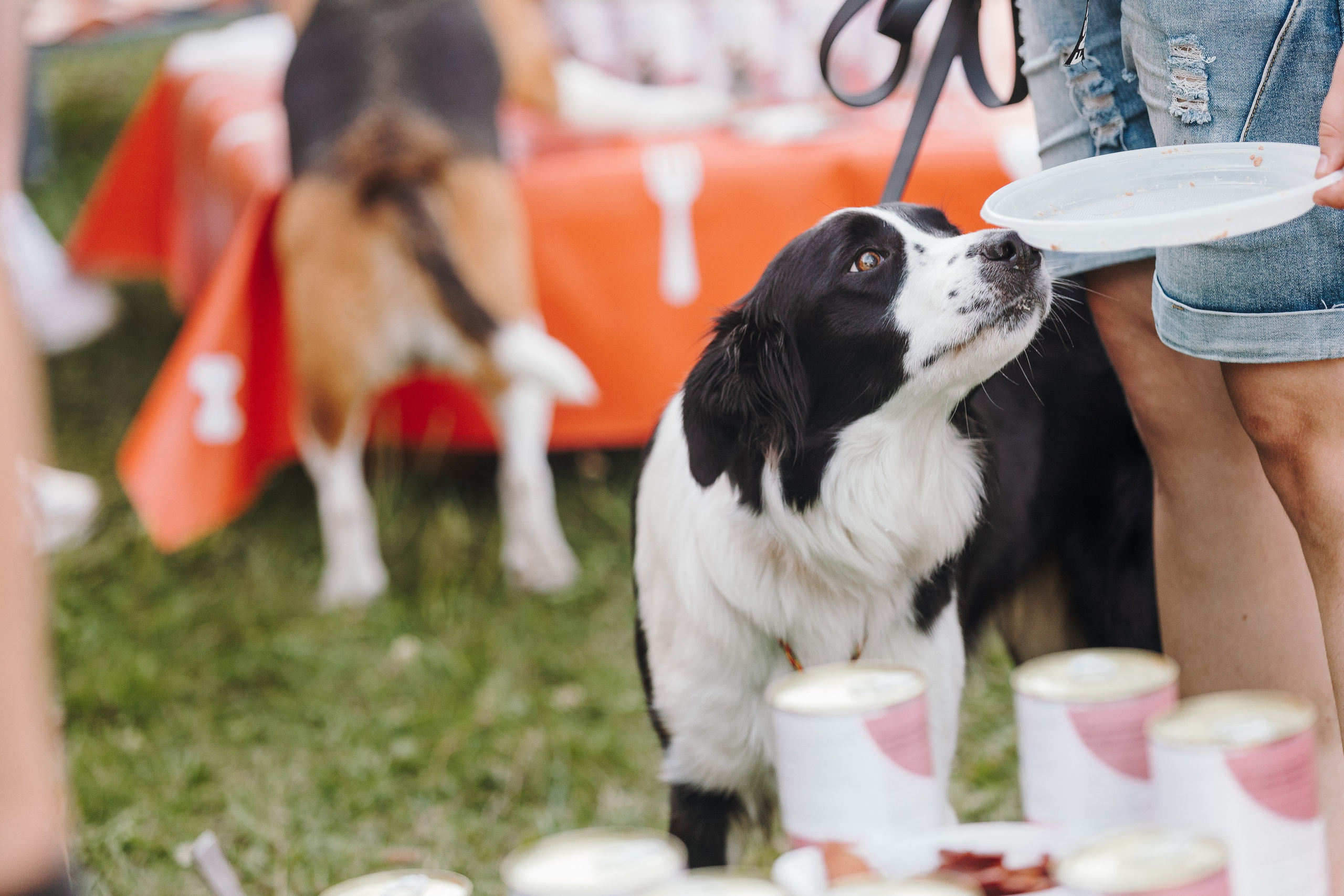 Petshop Sup day. Фотограф анималист Кристина Карпова, Москва