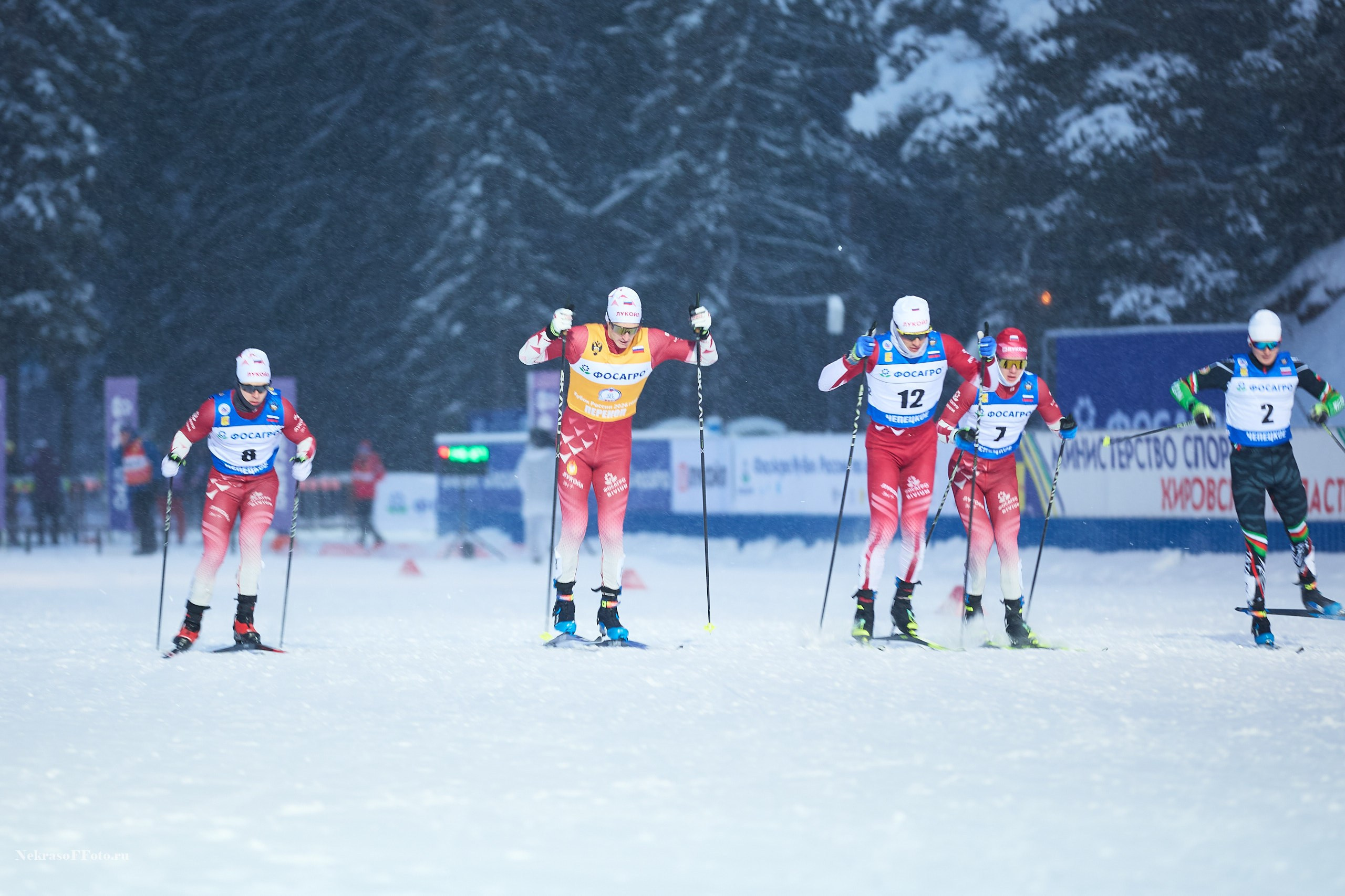 Кубок России по Лыжным гонкам. Спортивный фотограф Некрасов Денис