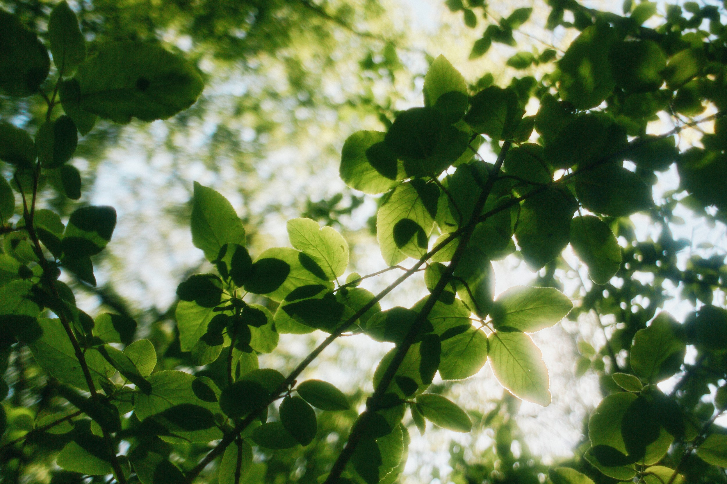 Фотограф Юлия Глазкова