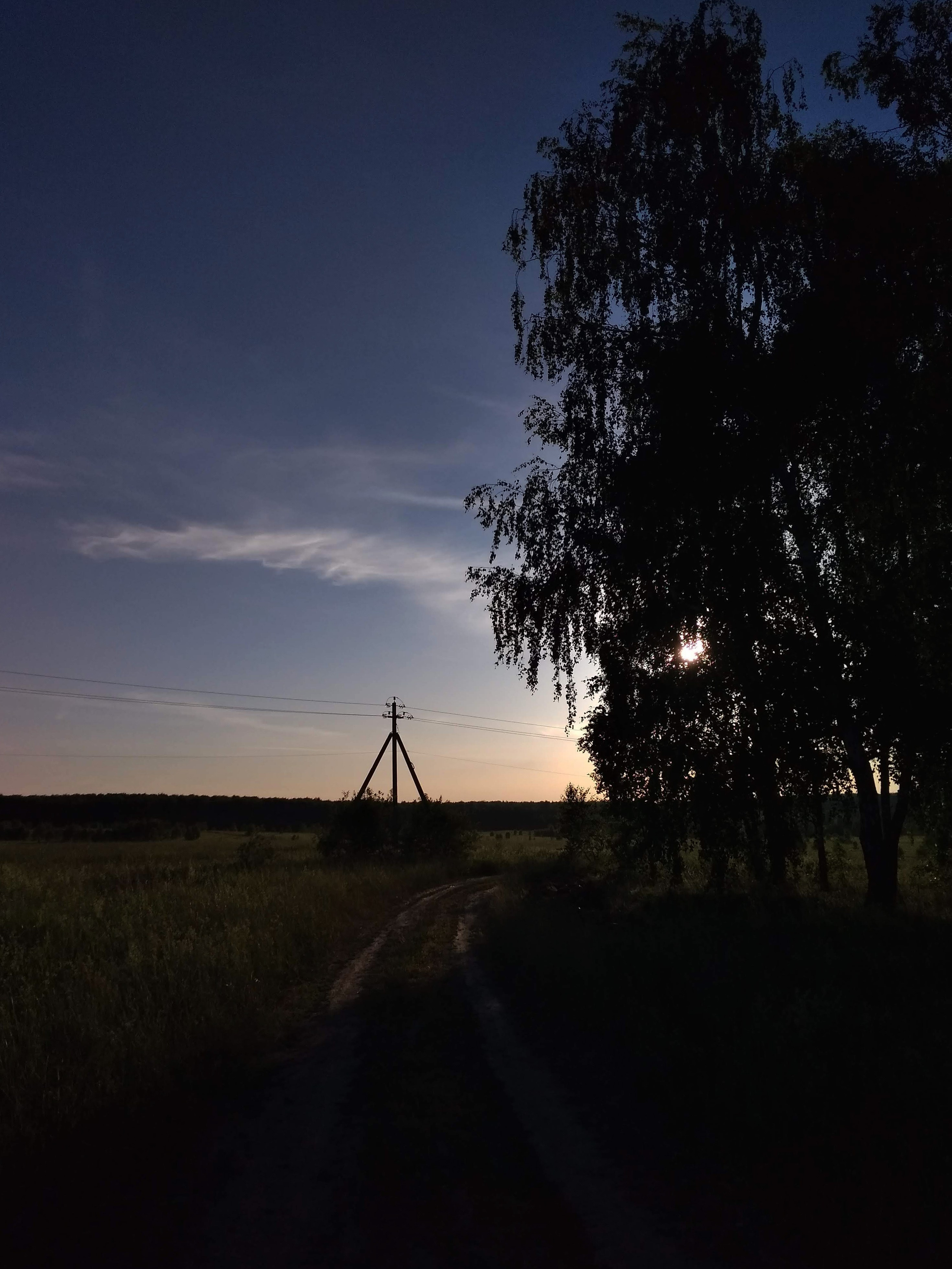 Автор: Екатерина Серебровская