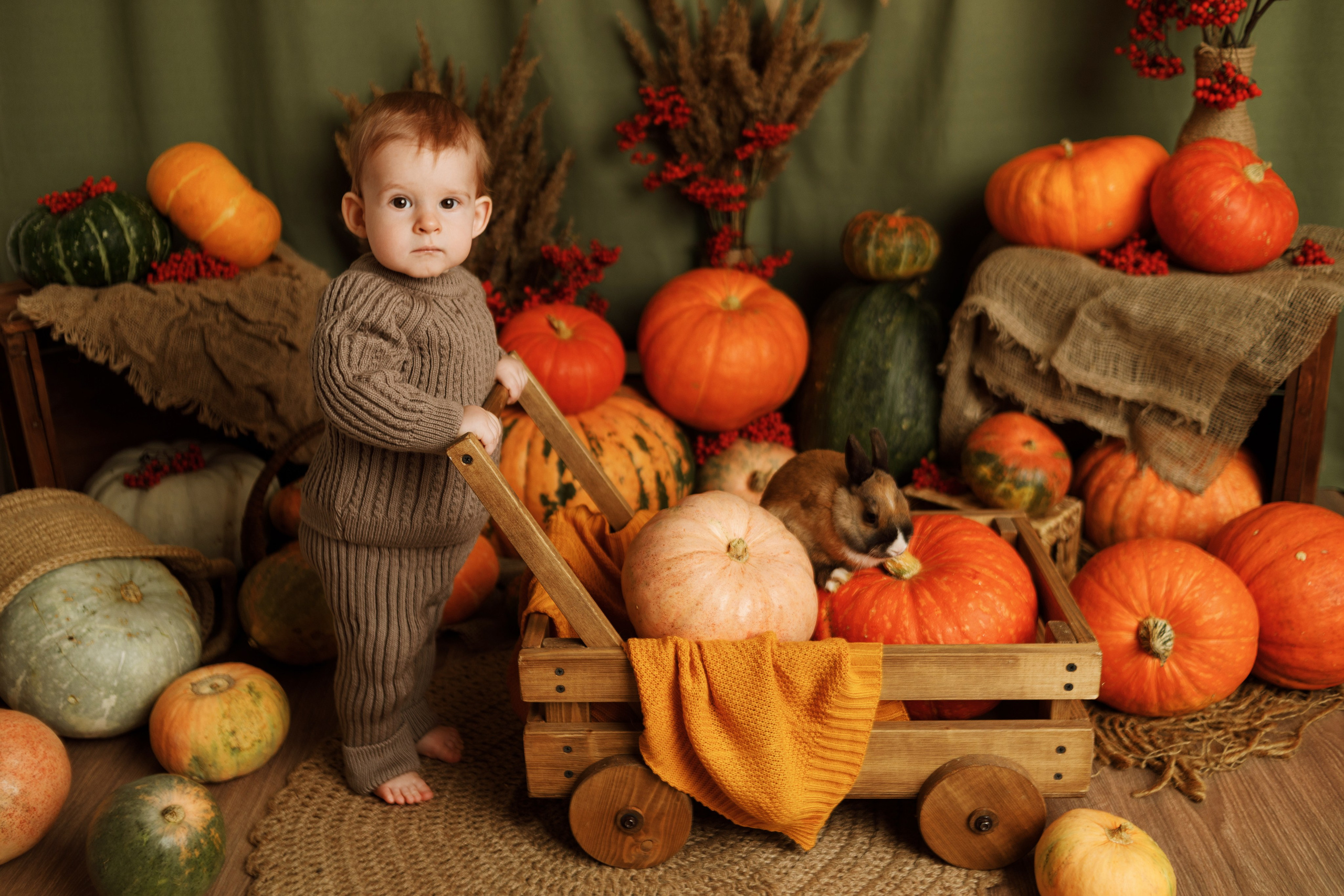 Фотопроекты. Фотограф новорождённых семейный фотограф Томск Елена Каплина