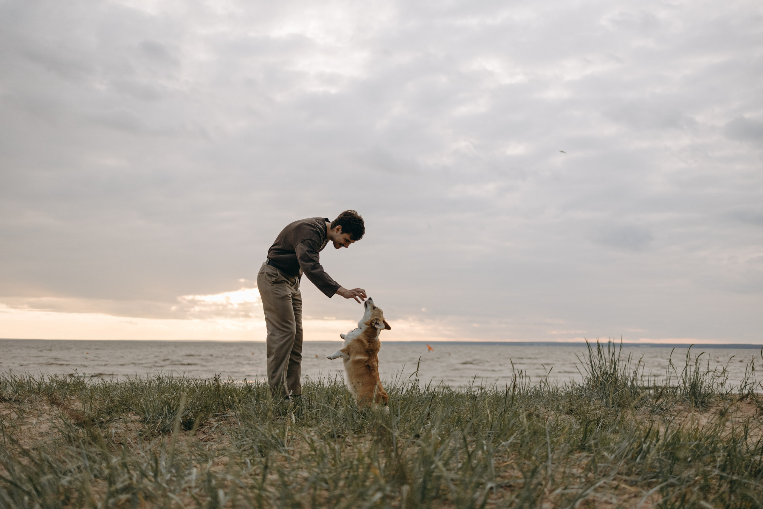 Лотти и ее семья. Фотограф — Анималист | Санкт-Петербург
