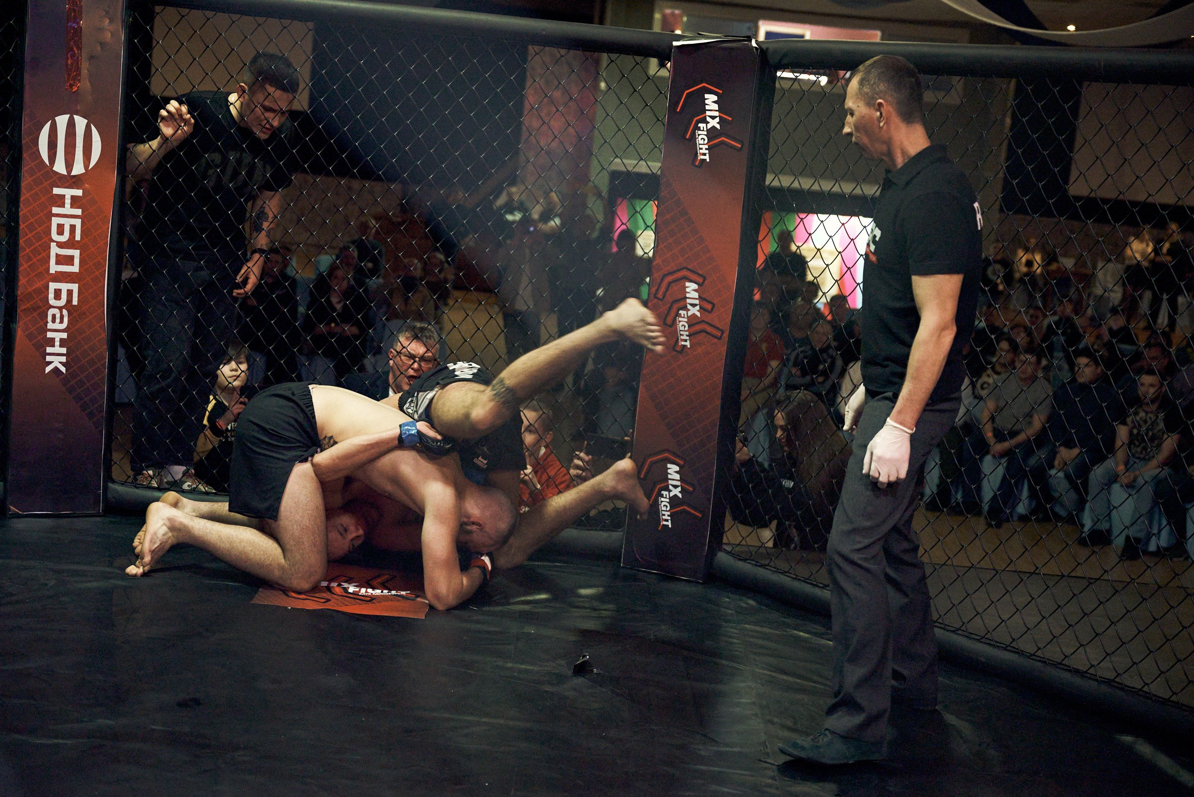 Бои. Маляревич Дмитрий свадебный фотограф