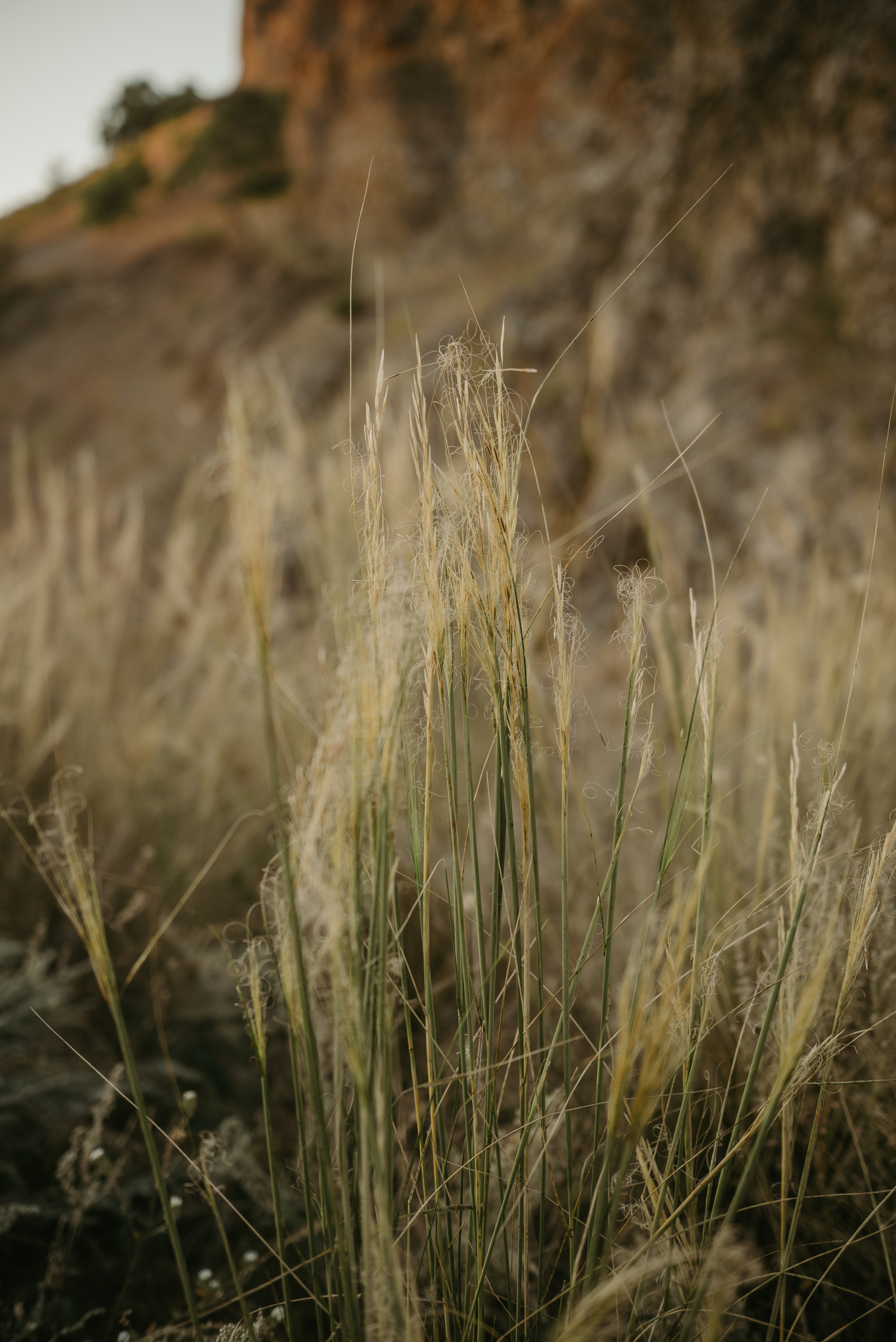 Ксения и Зуфар. Фотограф Филякин Константин