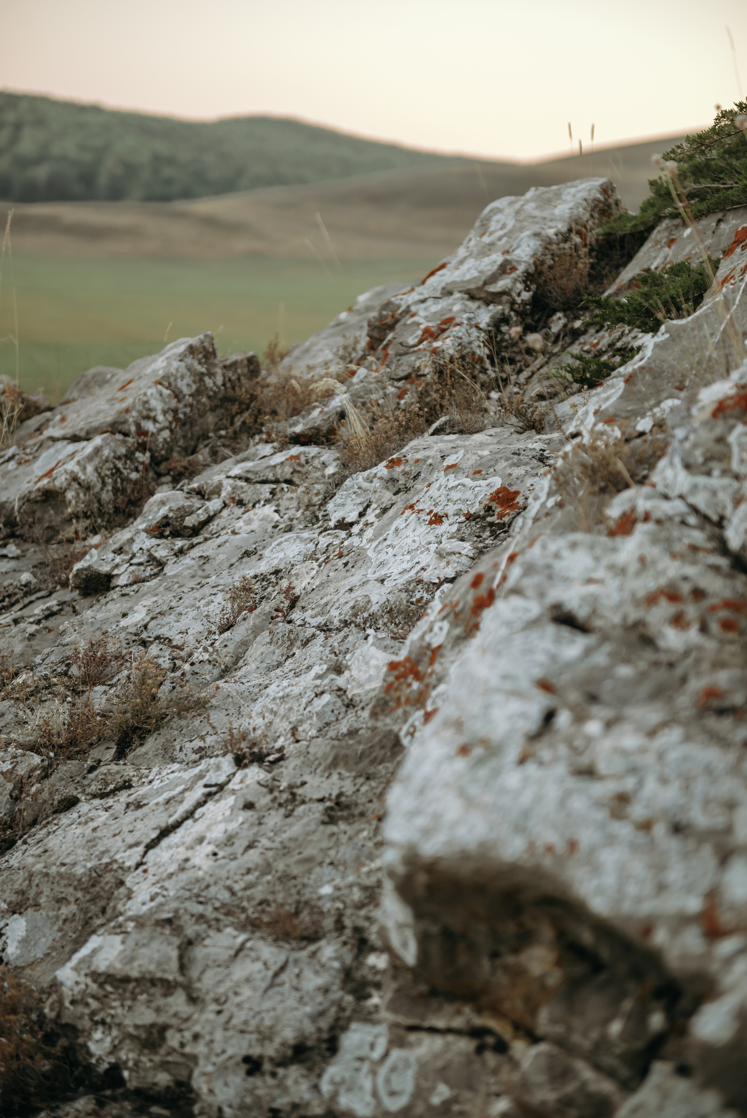 Ксения и Зуфар. Фотограф Филякин Константин