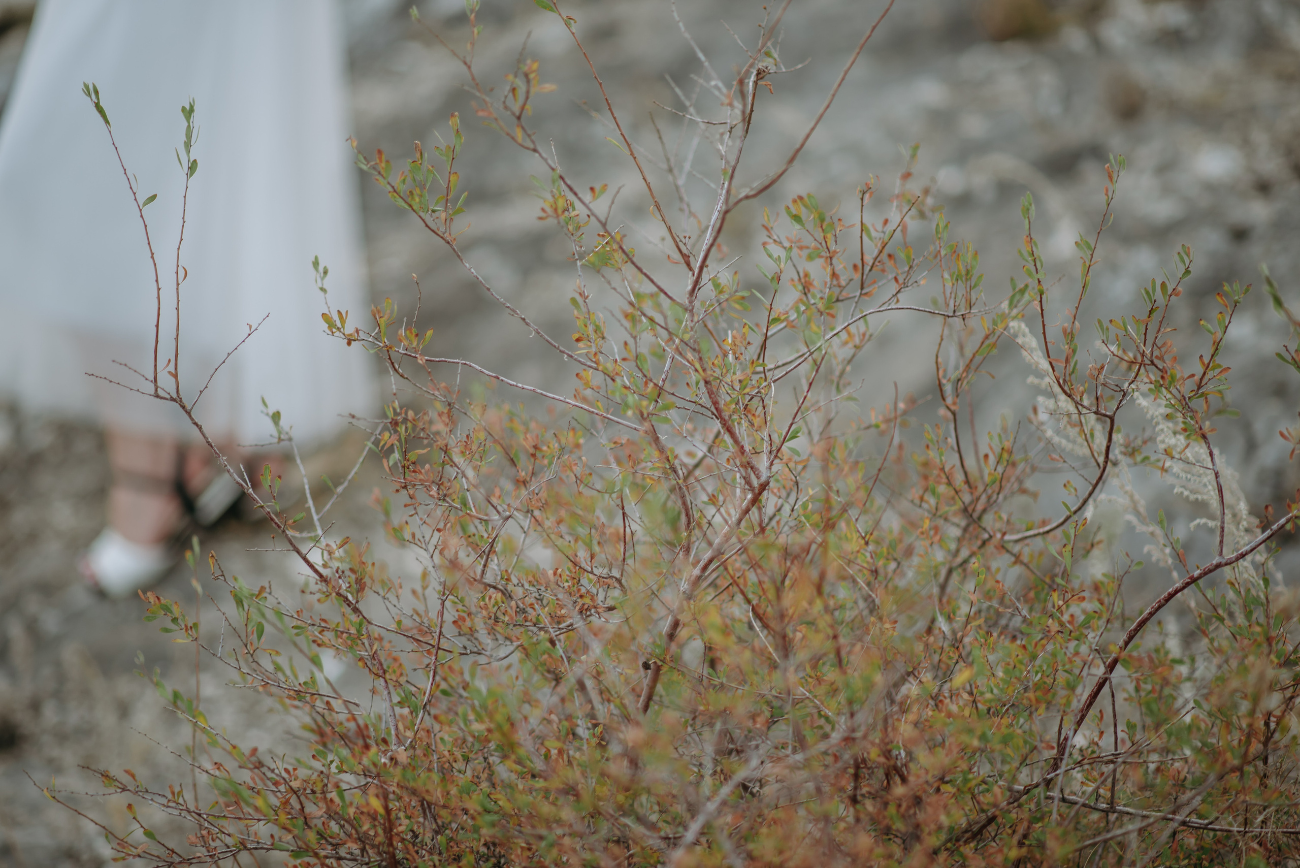 Ксения и Зуфар. Фотограф Филякин Константин