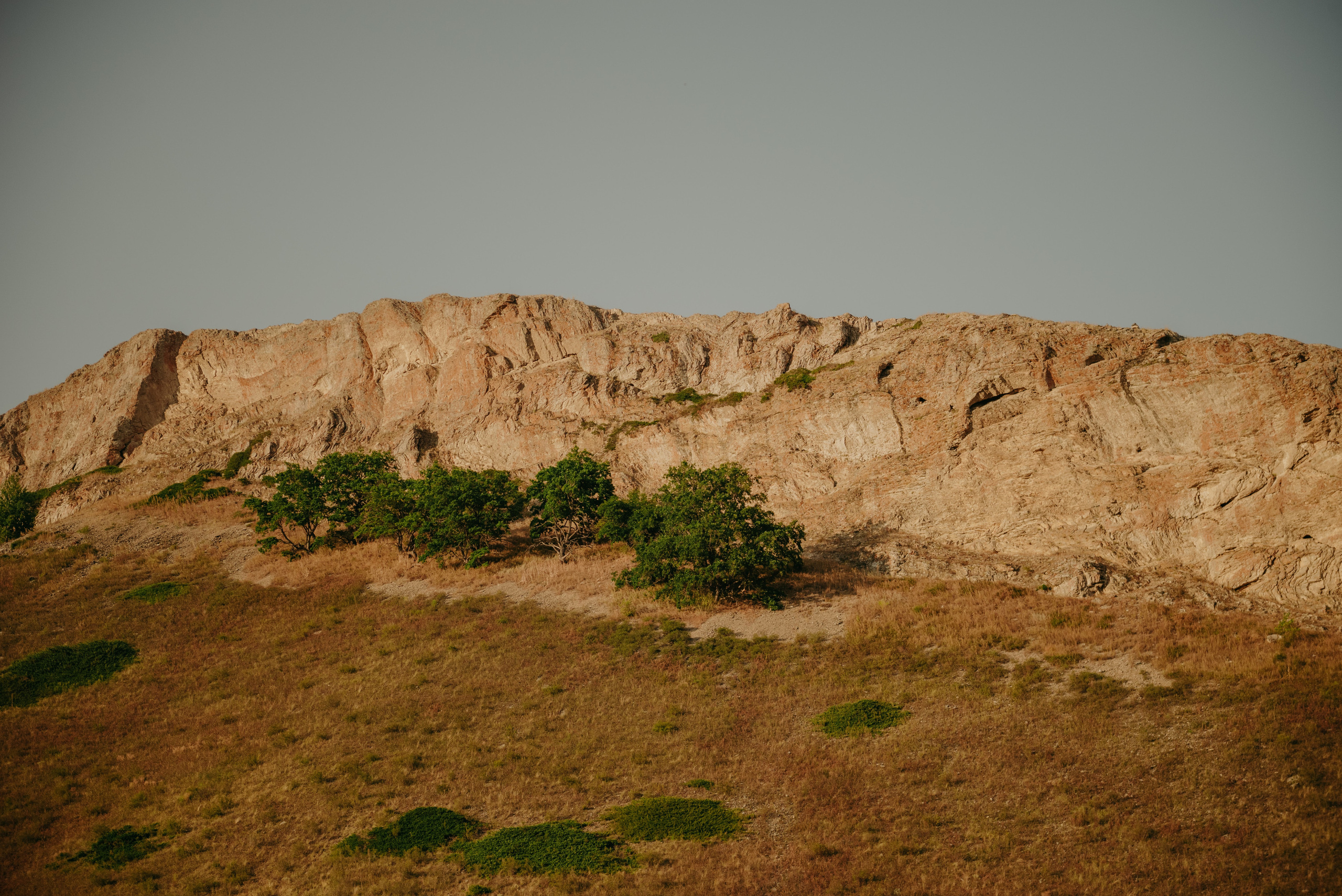 Ксения и Зуфар. Фотограф Филякин Константин