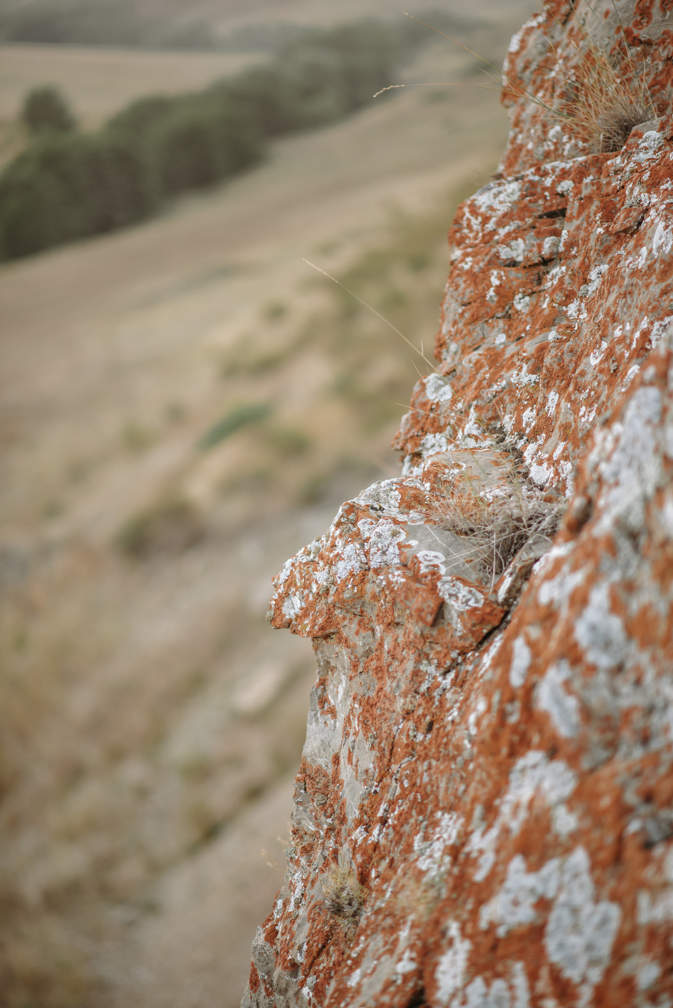 Ксения и Зуфар. Фотограф Филякин Константин