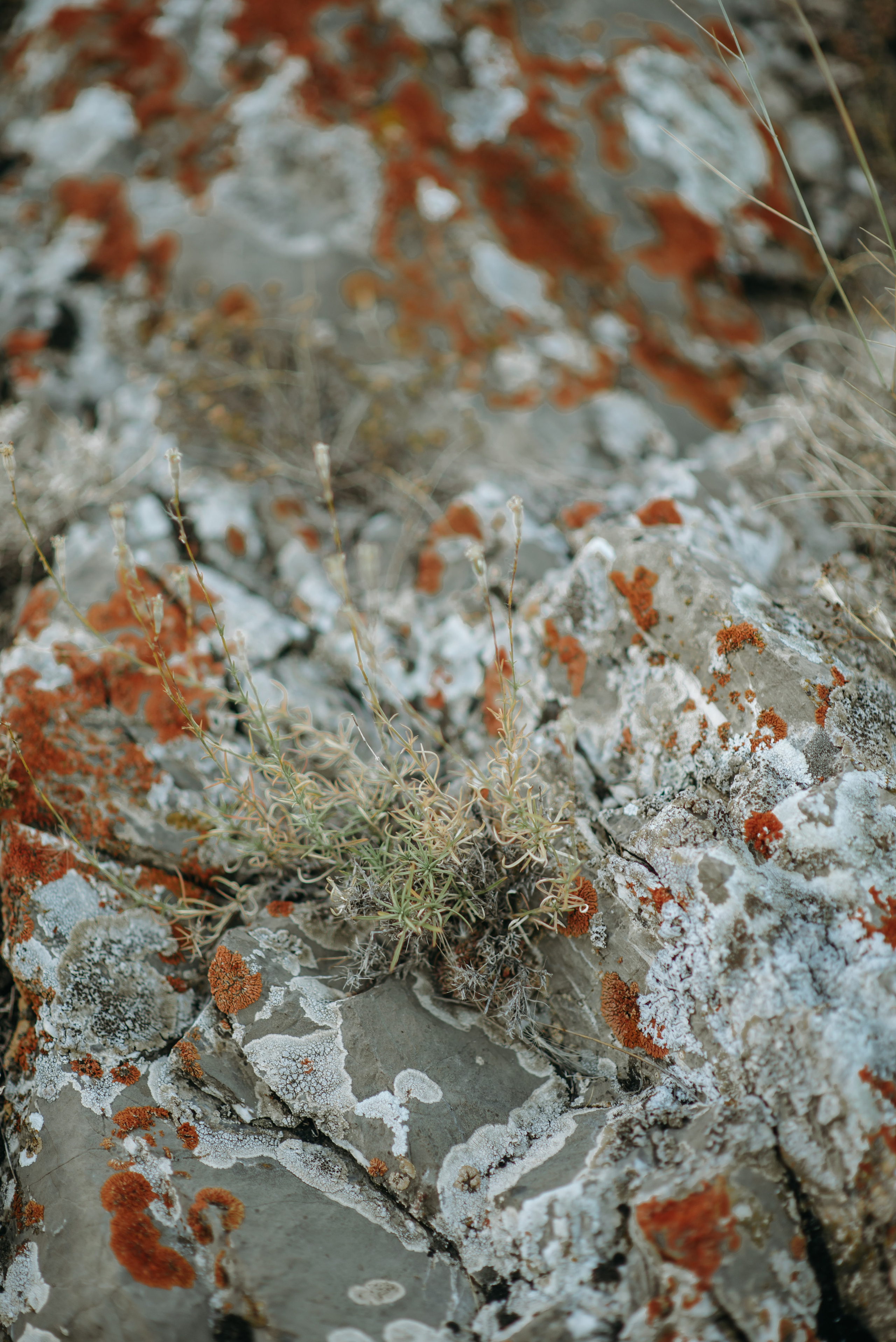 Ксения и Зуфар. Фотограф Филякин Константин