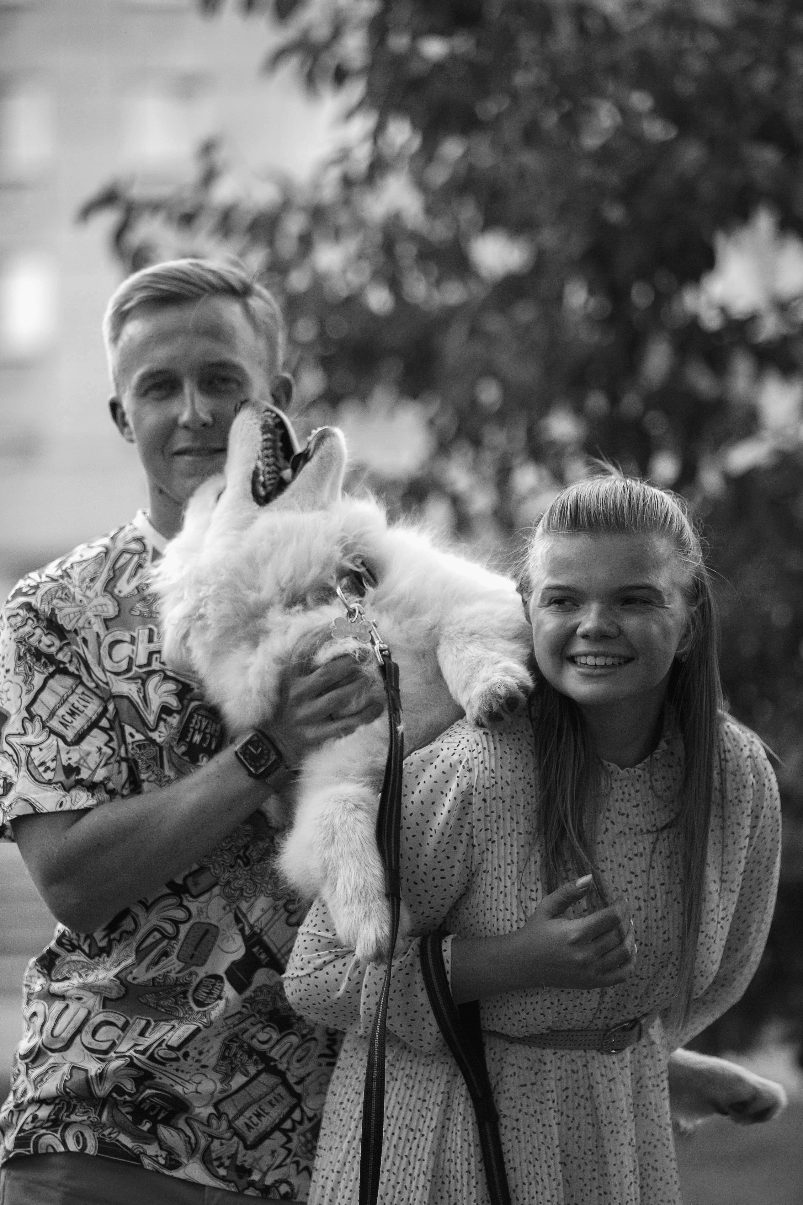 Анастасия, Евгений и самоед Ройс. Https://moshkovaphoto.ru/