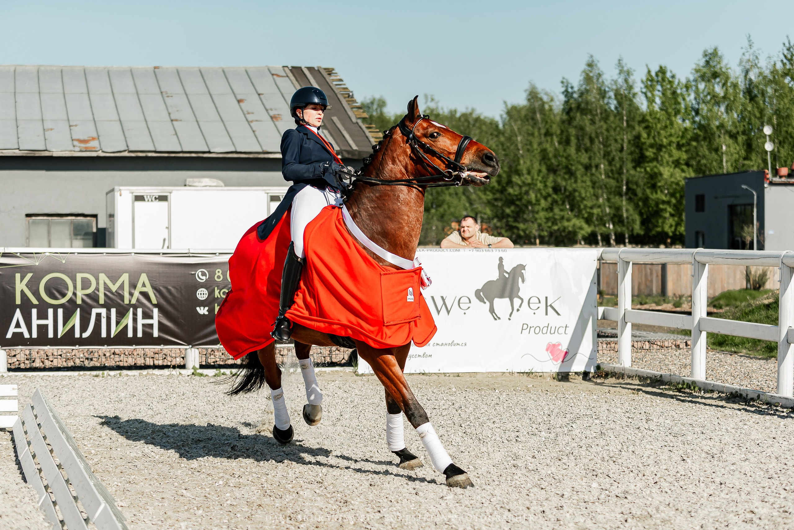 РЕПОРТАЖ МКК ВОЛЬТ «LA TULIPS». Конный фотограф Куракина Дарья • Фотосессии с лошадьми