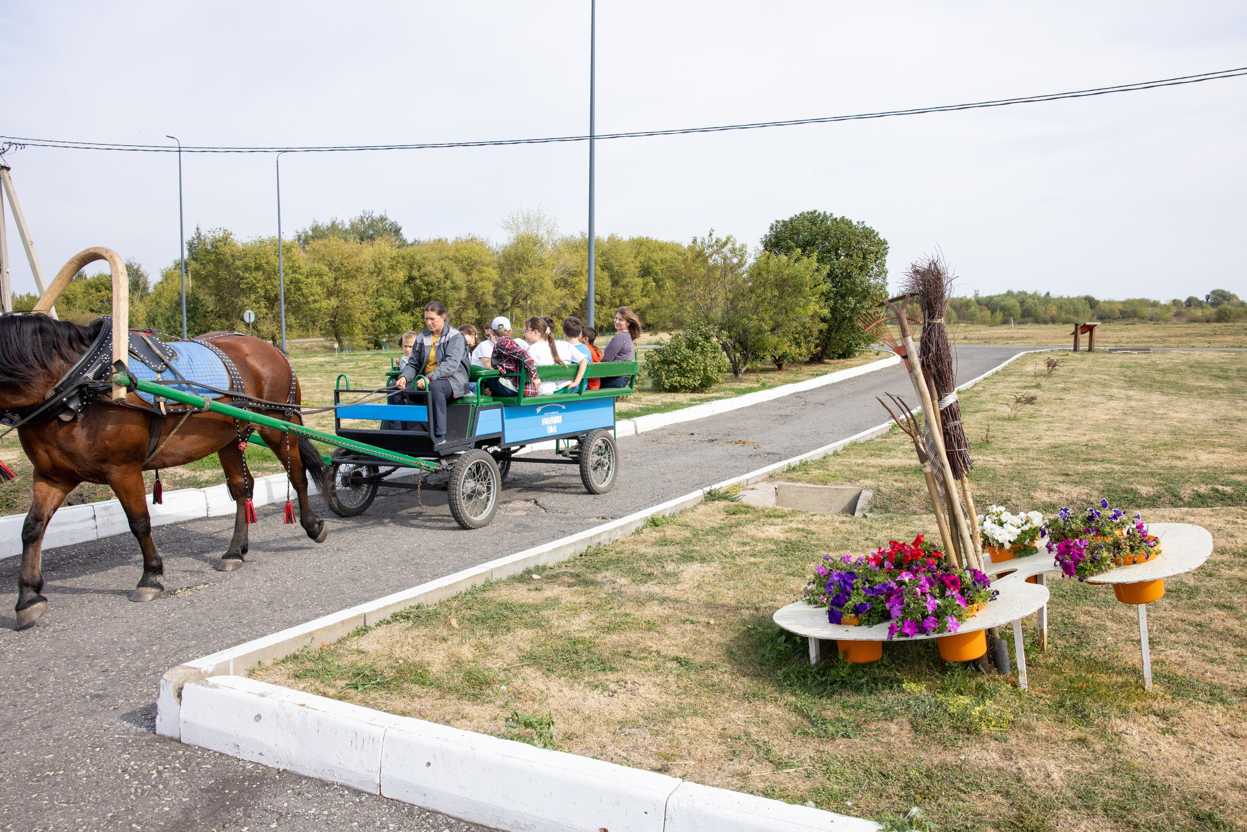 Поездка на поле Кулеково. Фотограф в Туле Крупский АнДРей. Фотостудия «КАДР71» в Туле