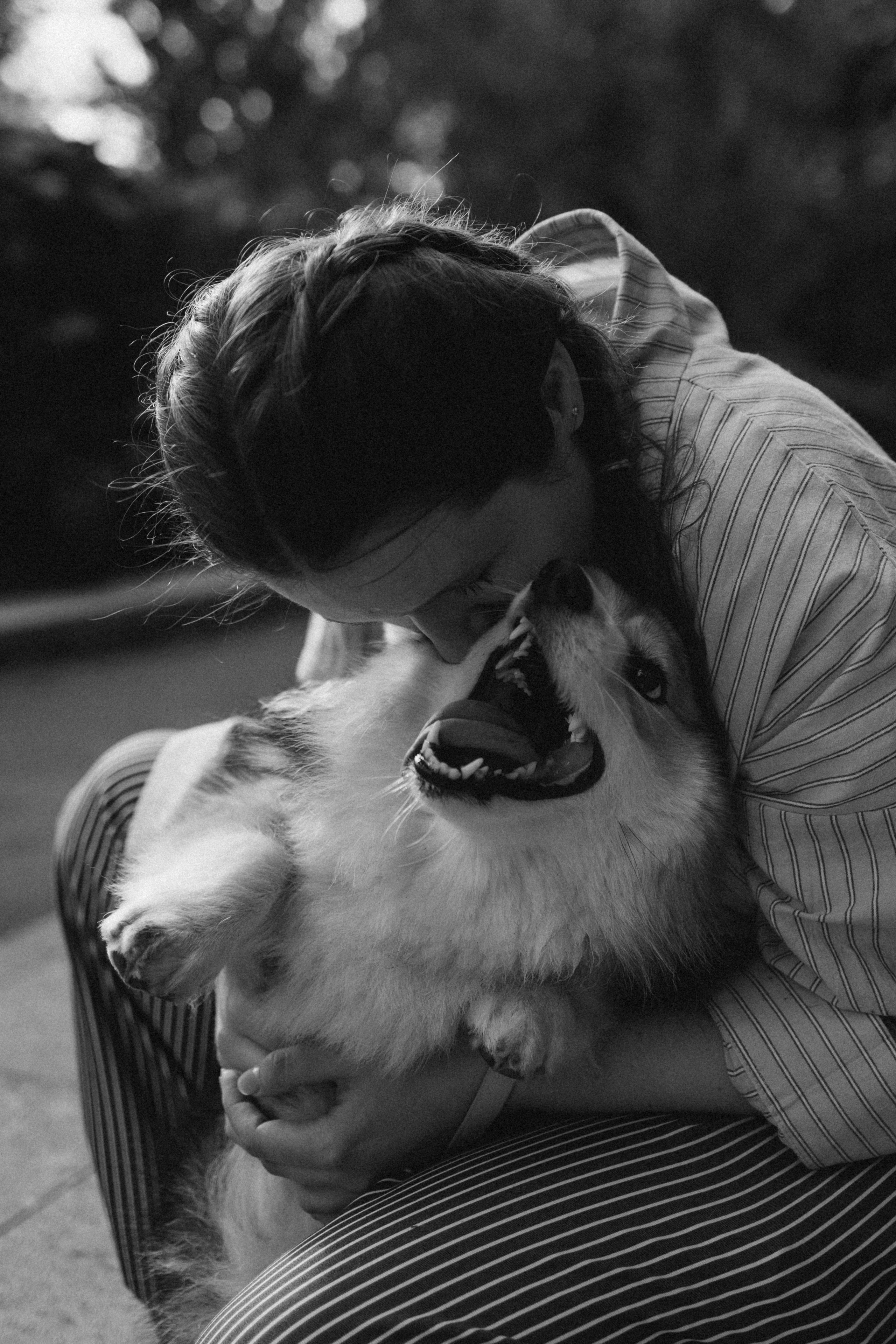 Мишель и Влада. Фотораф — анималист Мария Шистка