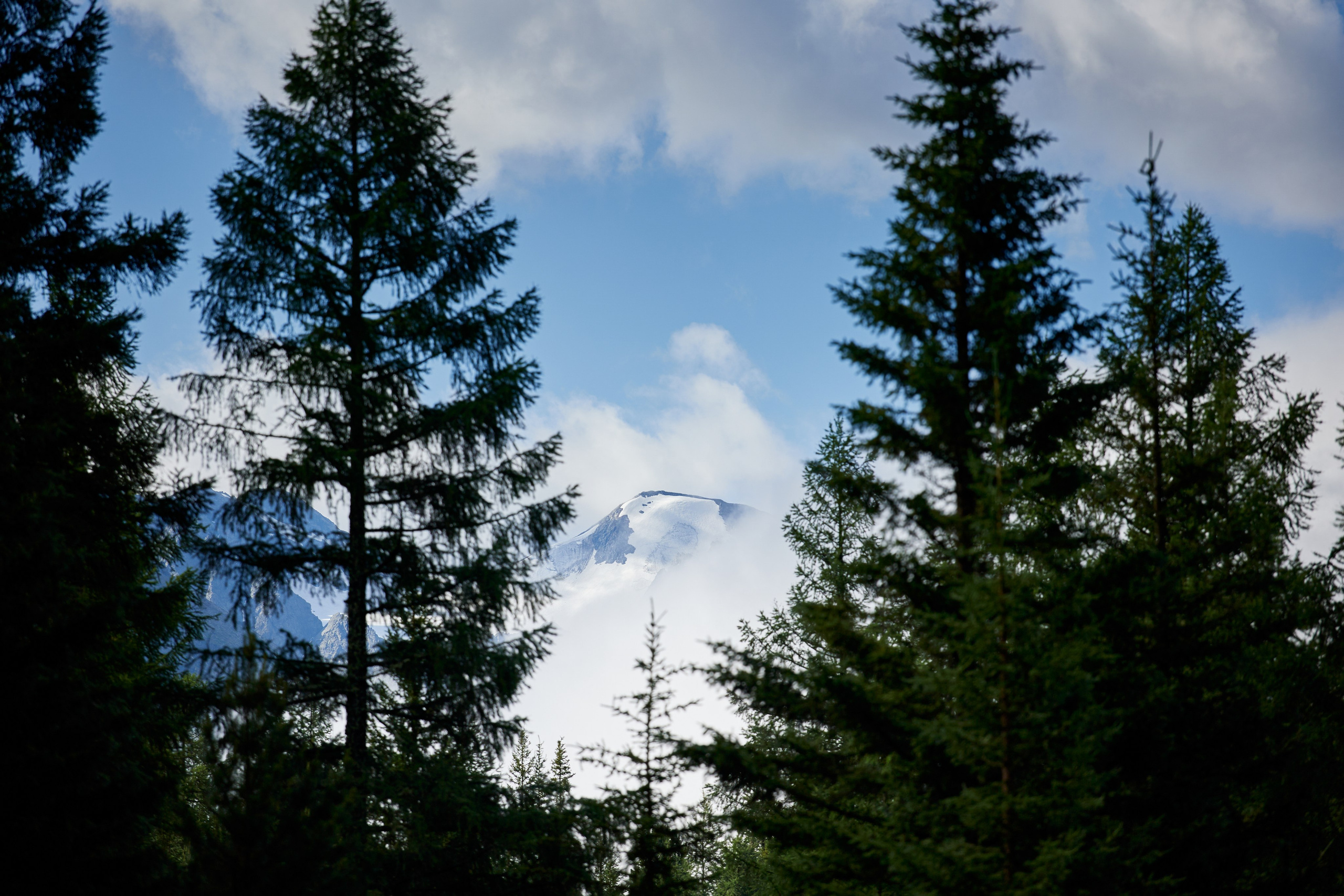 Алтай. Хороший репортажный и промышленный фотограф в Казани Алексей Щелконогов