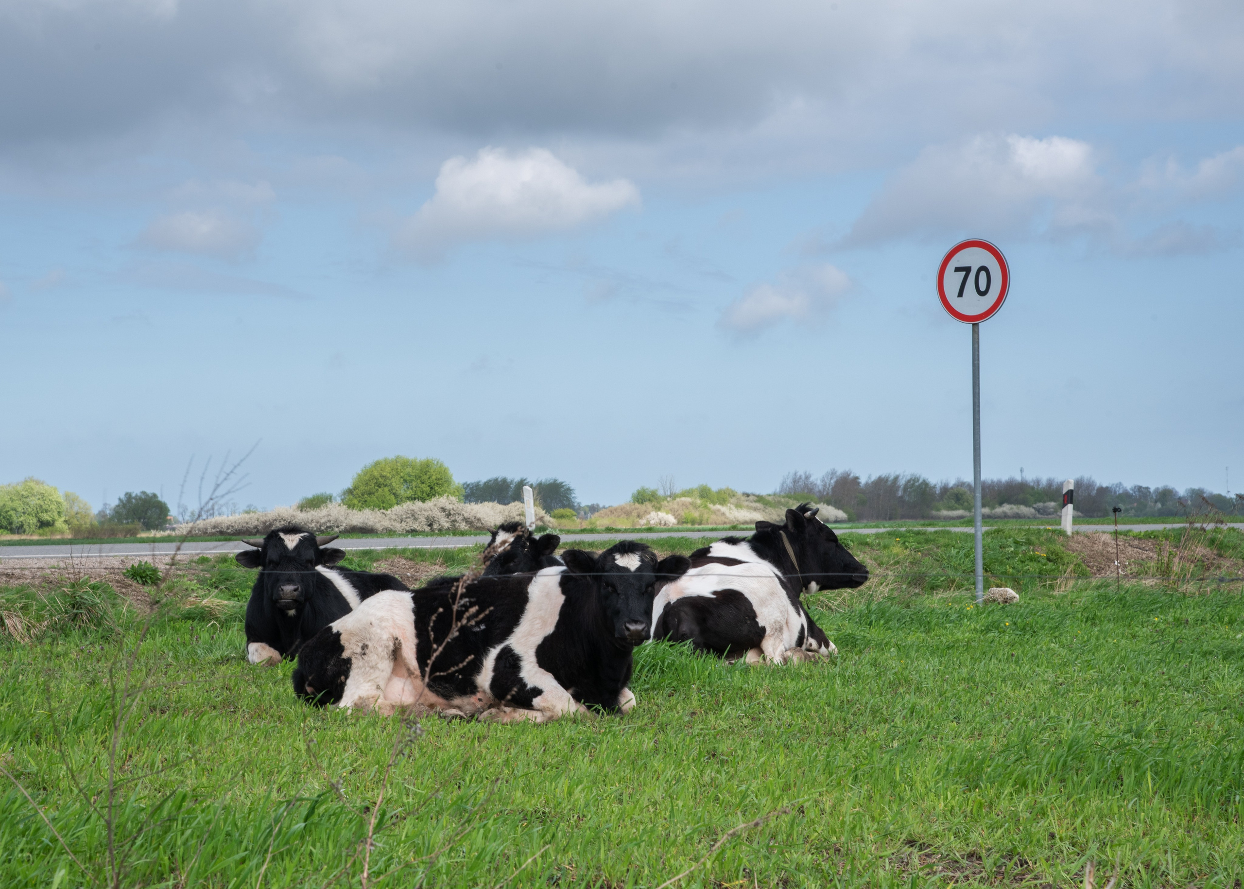 Калининград, Светлогорск. Фотограф Юлия Зимина